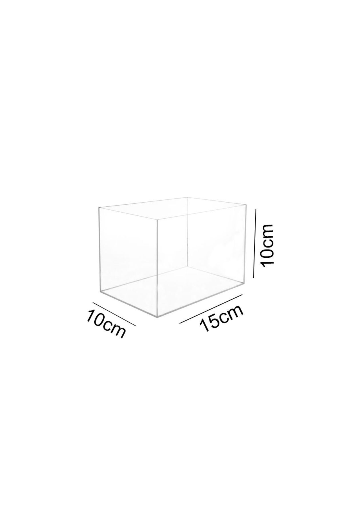 teknotrust Şeffaf Çok Amaçlı Saklama Kutusu, Kapaksız, 15x10x10 cm