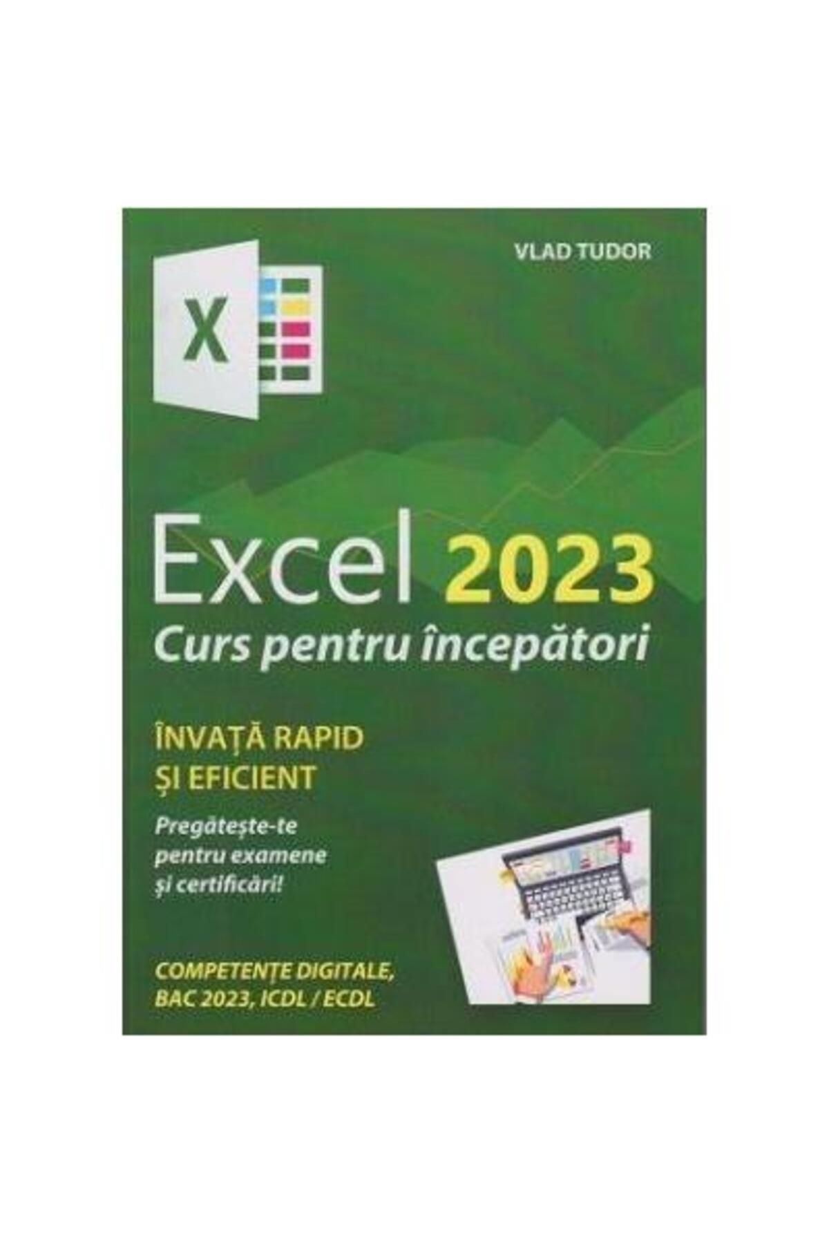 Editura L&S INFOMAT-Excel 2023. Course for beginners, Vlad Tudor 1