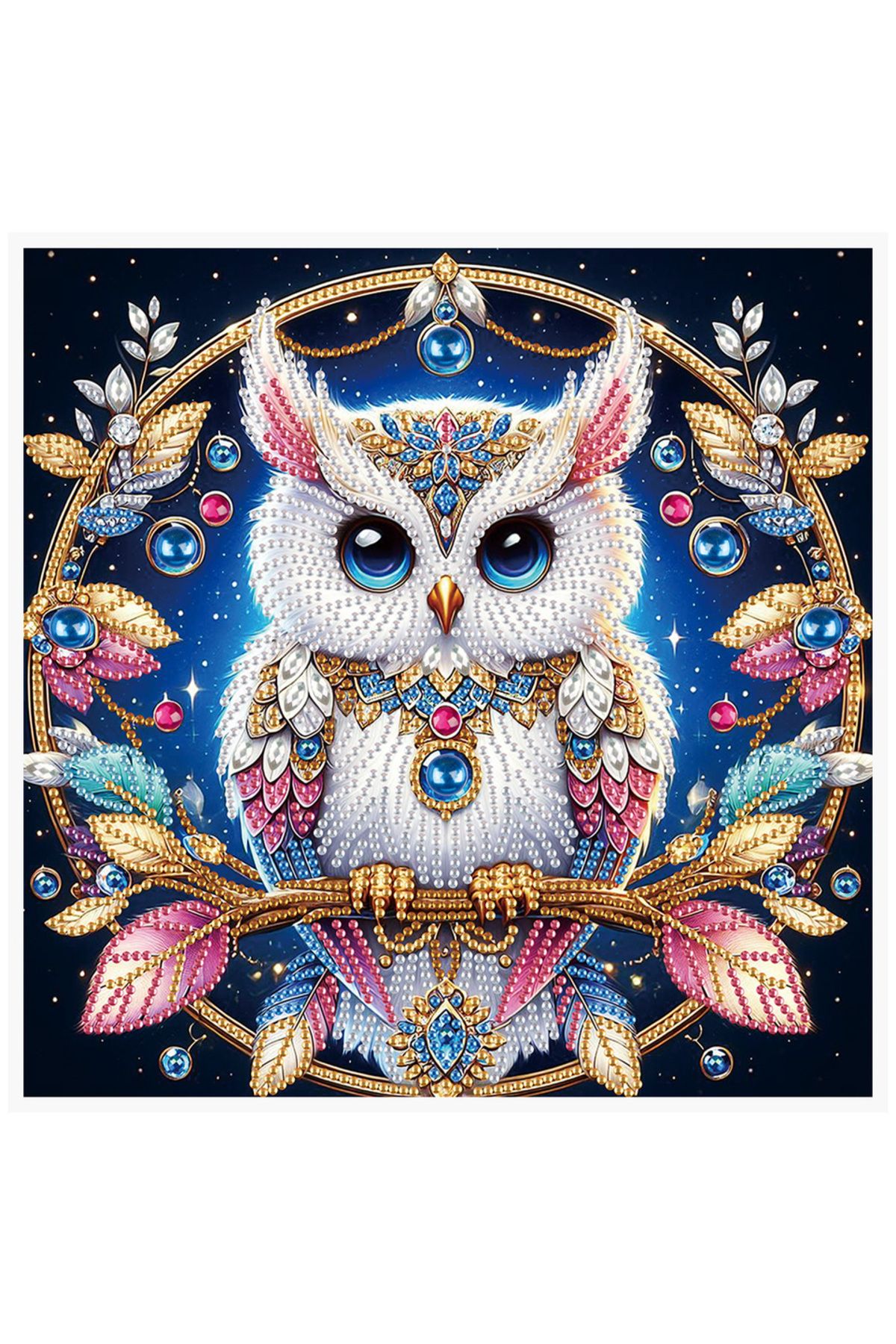 Choice-30*30cm The Owl Queen Special Shape Diamond Art Kits for Beginners and Adults, Cute Owl Diamond Art 1