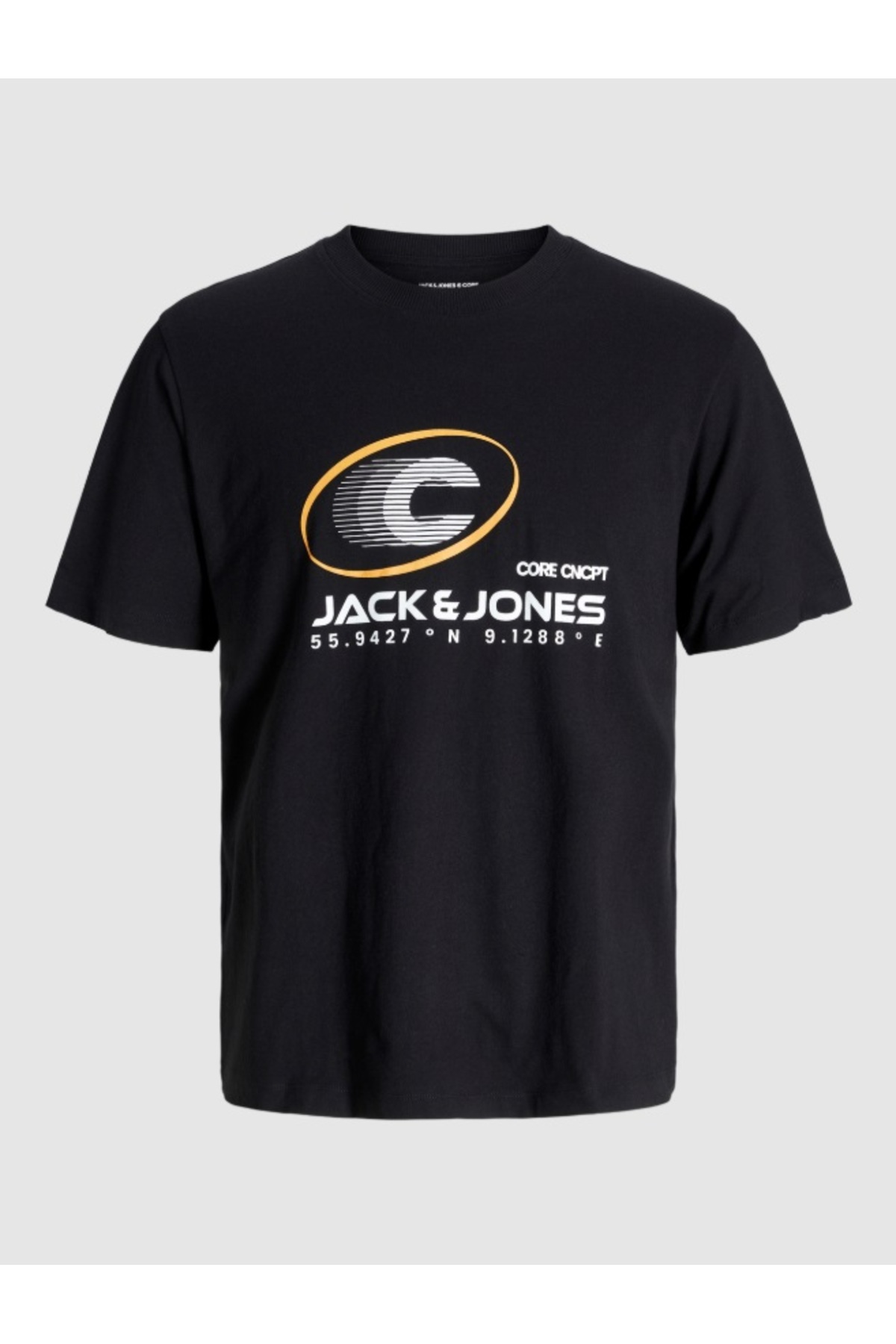 تی‌شرت یقه گرد JCOVIBRANT مدل AW24 جک اند جونز تی شرت Jack & Jones