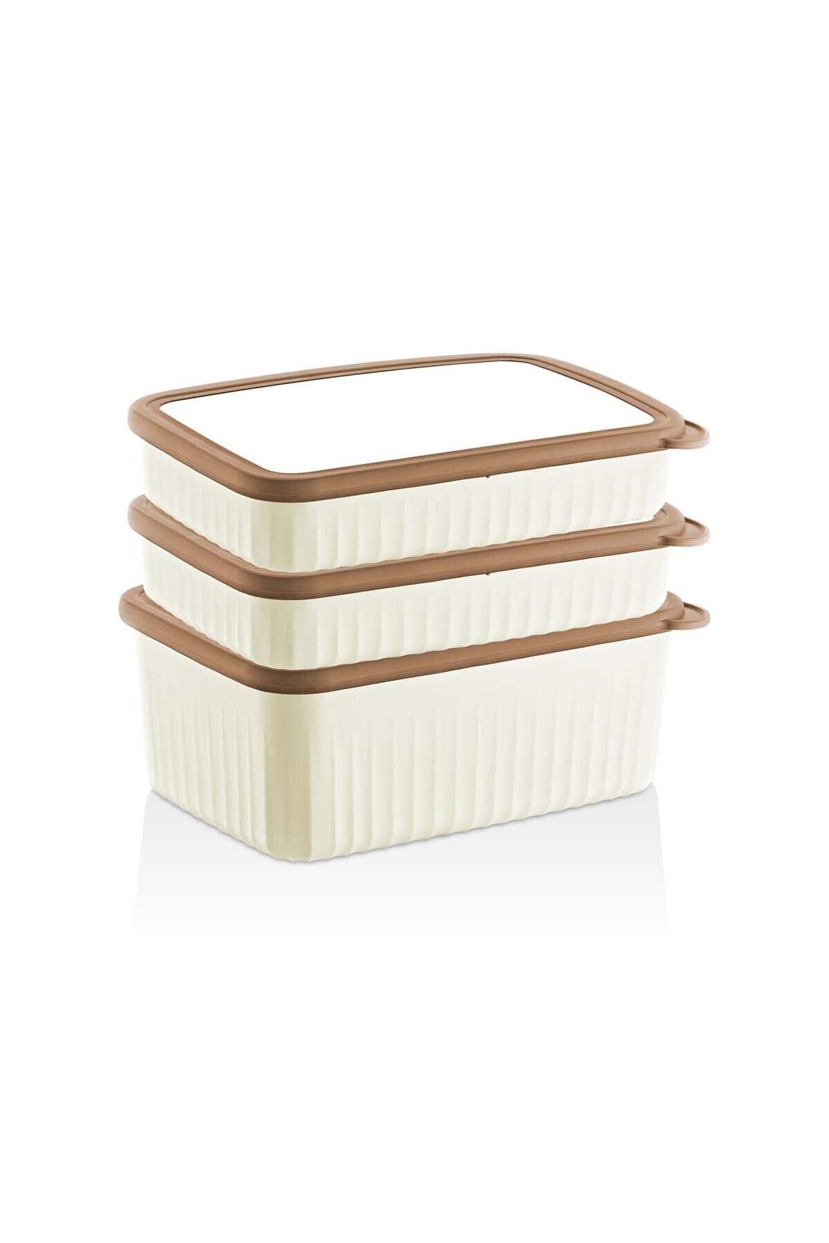 teknotrust Vakumlu Dikdörtgen Saklama Kabı, Renkli, Derin, Büyük, 1x4,2 Lt ve 2x2,1 Lt