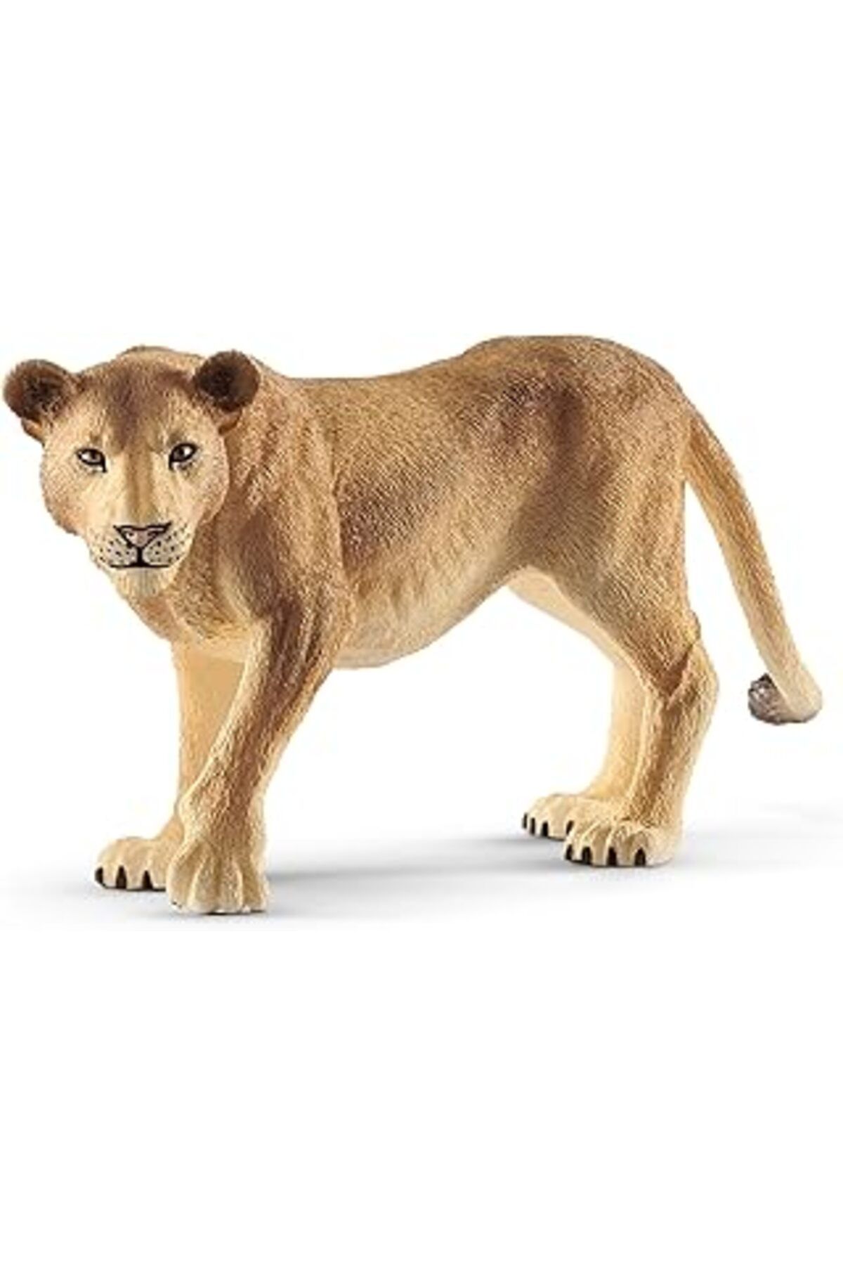 Roses Store Schleich 14825 - Löwin, Renkli