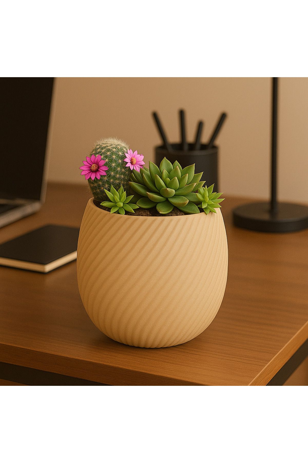 Printora Spiral Desenli Saksı – Modern Minimalist Tasarım