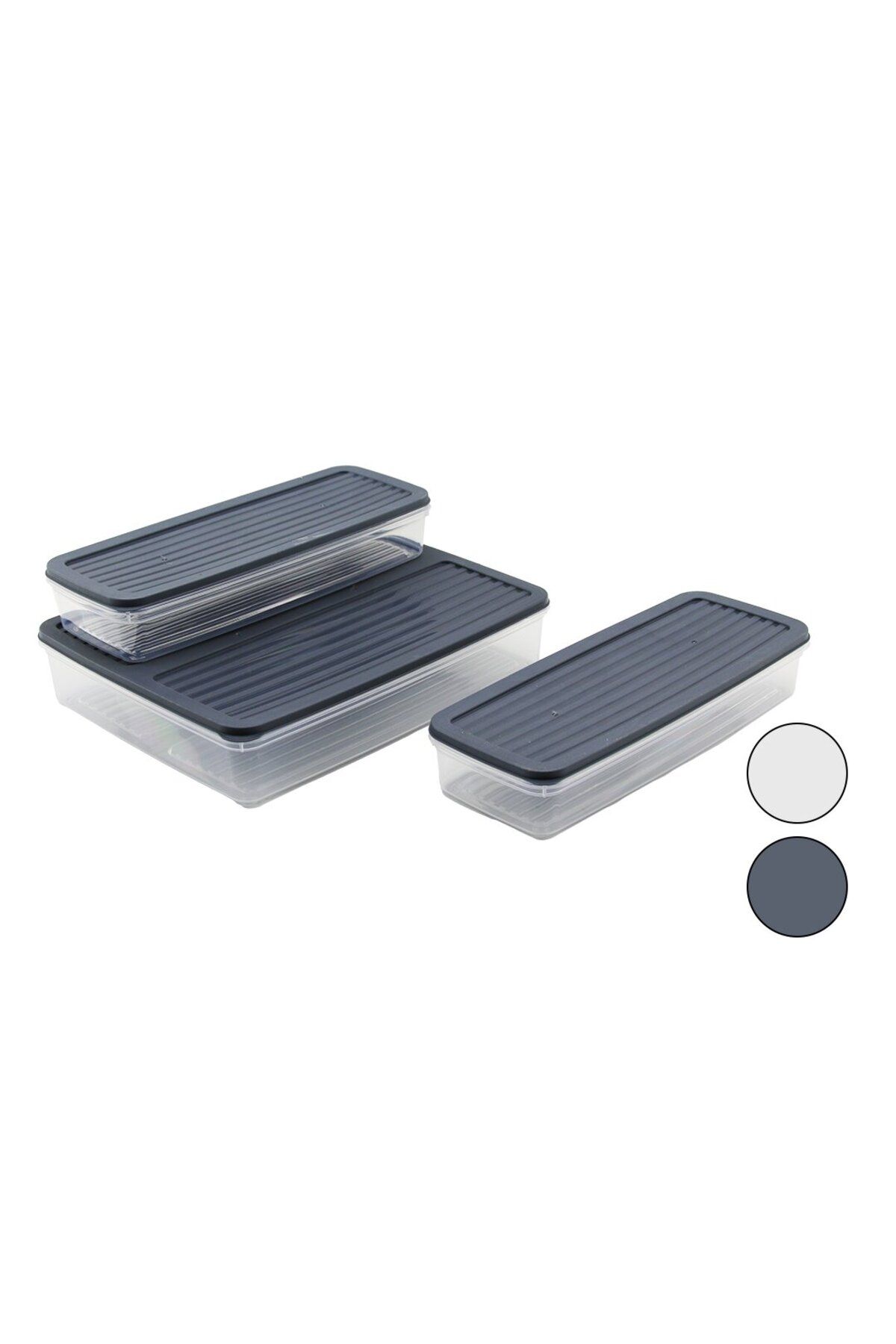 STOREMAX nffastore 3PCS ŞEFF PLASTİK KAP - RENKLİ KAPAK SAKLAMA KABI 2 ADET=1LT - 1 ADET=2.5LT Star Colle