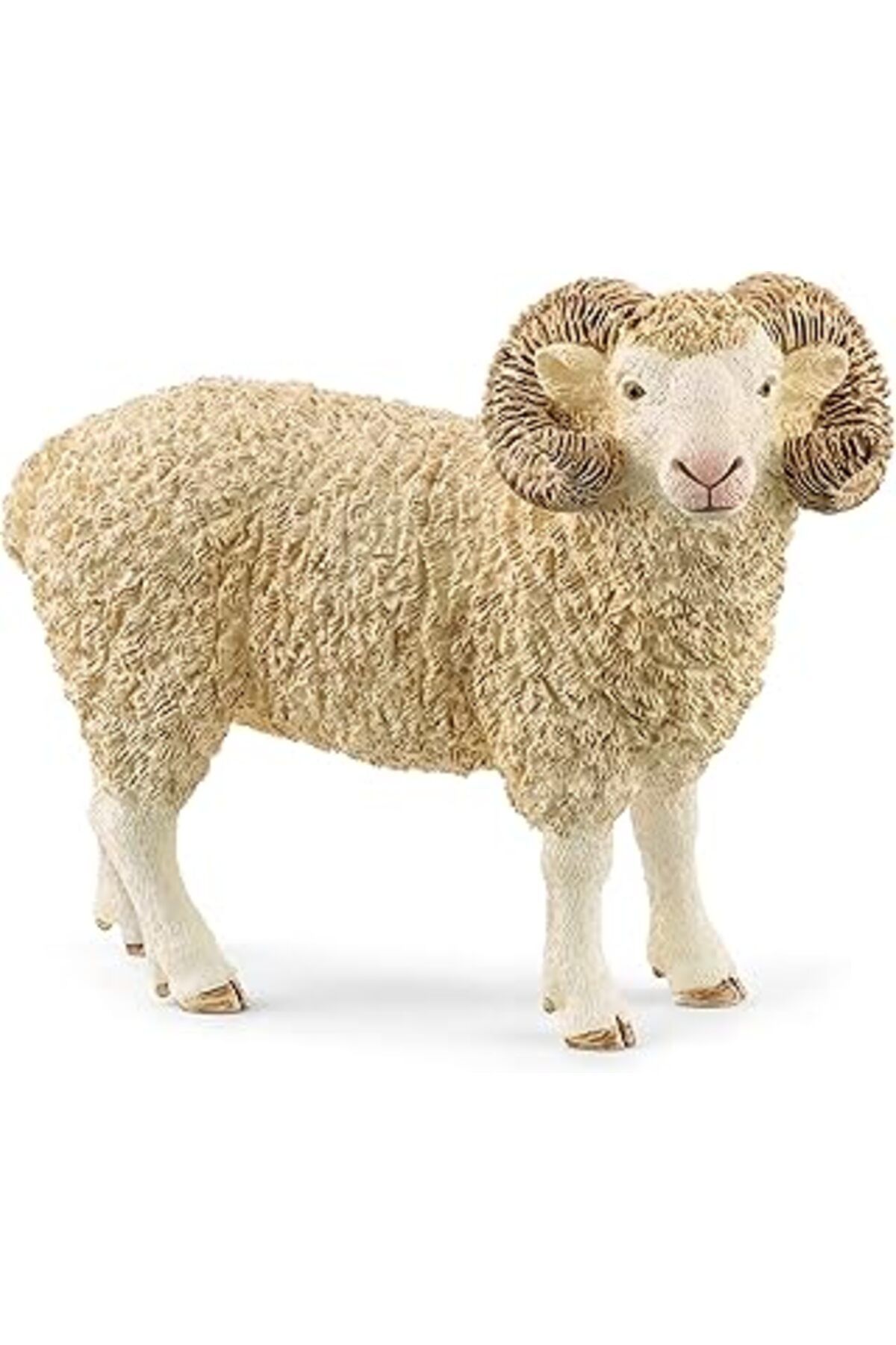 Pazarcan Schleich Koç