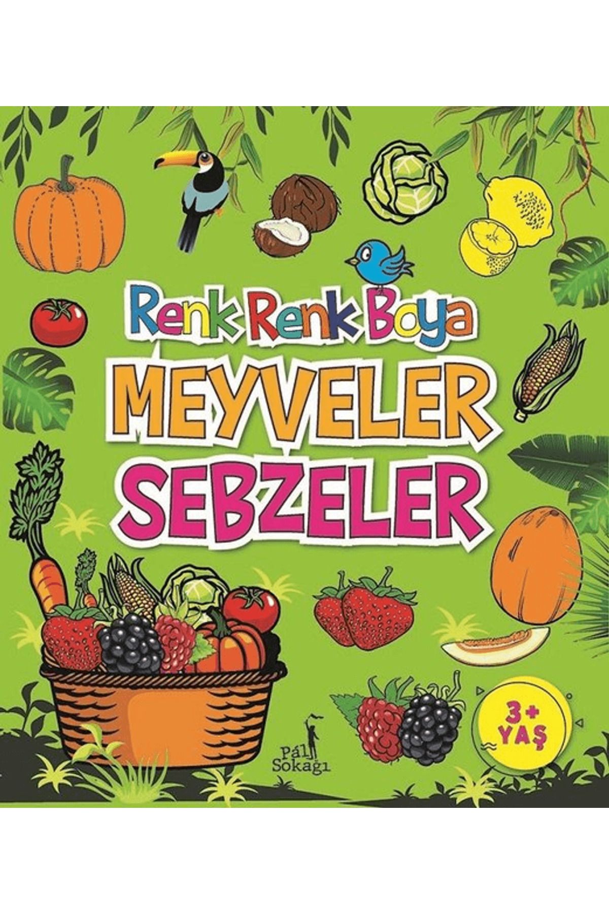 Pal Sokağı Yayınları Meyveler Sebzeler - Renk Renk Boya