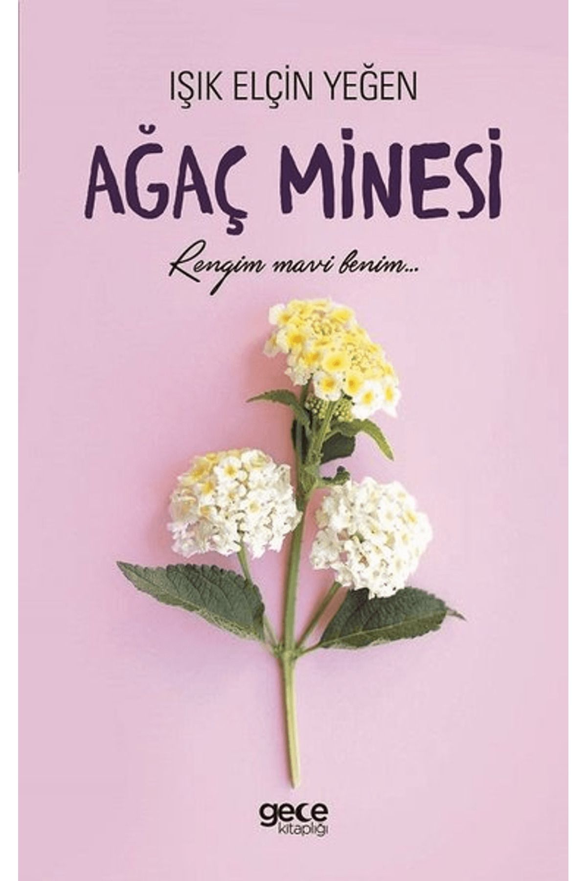 Gece Kitaplığı Ağaç Minesi