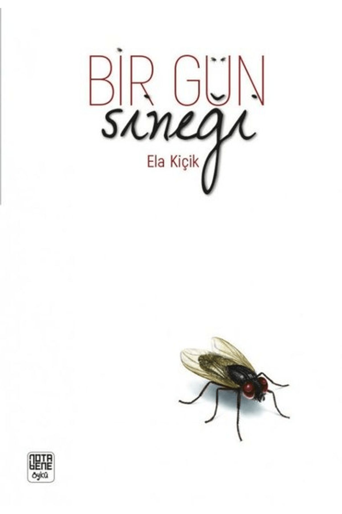 Nota Bene Yayınları Bir Gün Sineği