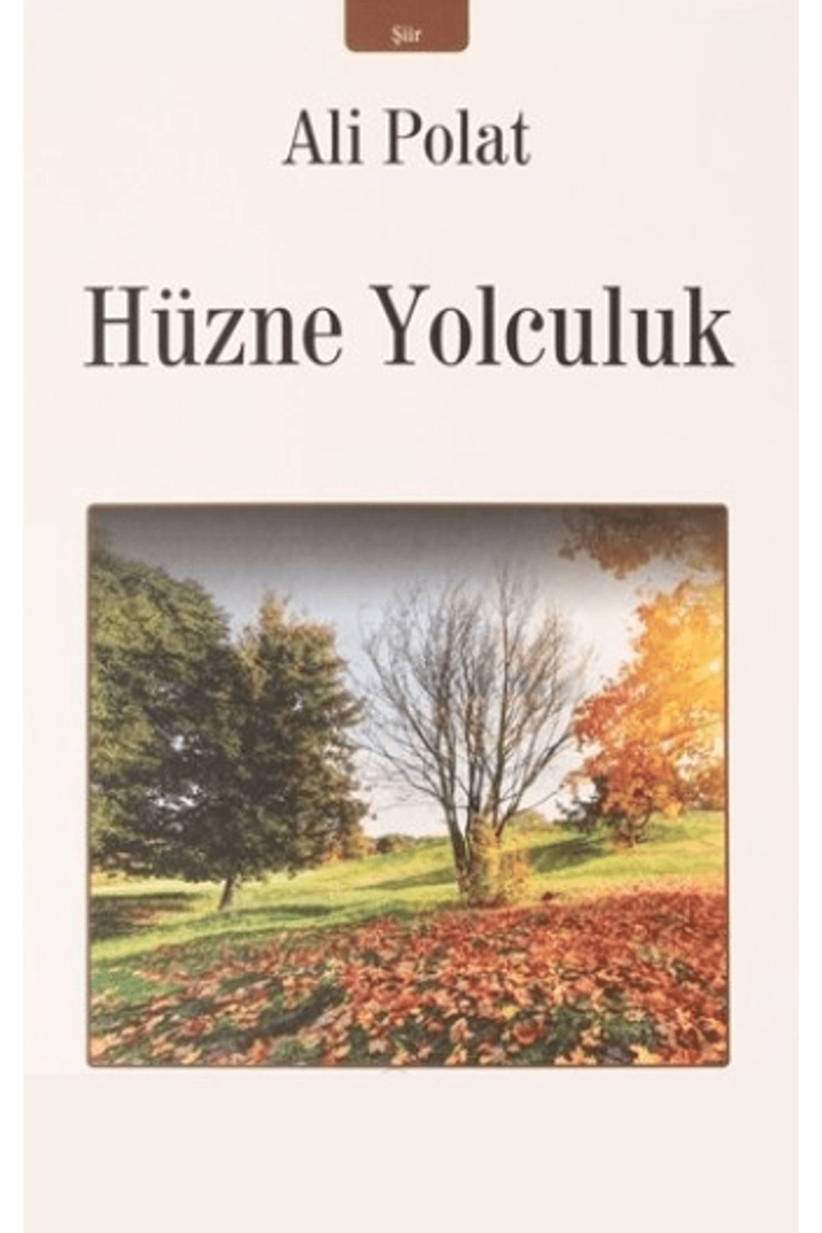 İzan Yayıncılık Hüzne Yolculuk