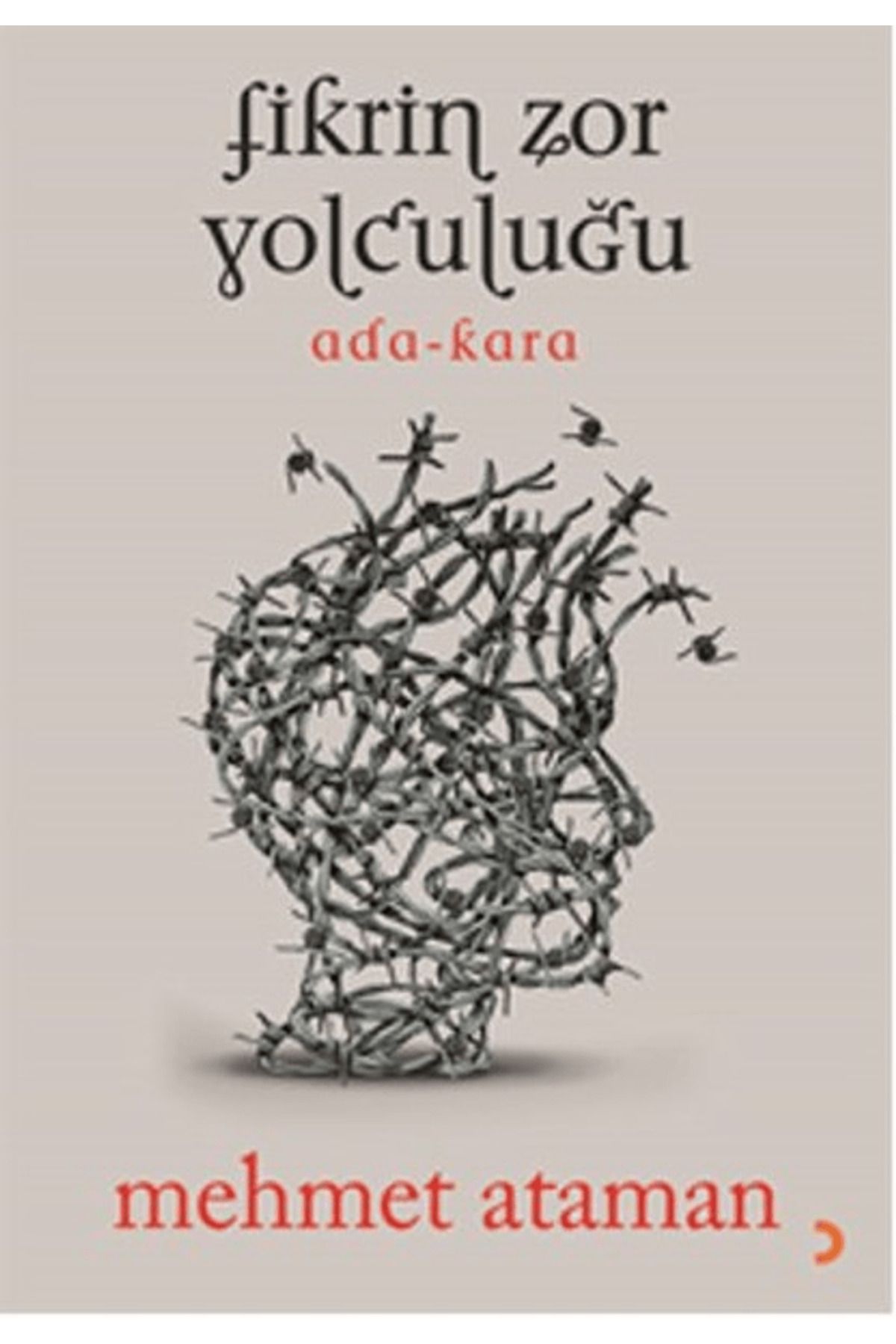 Cinius Yayınları Fikrin Zor Yolculuğu
