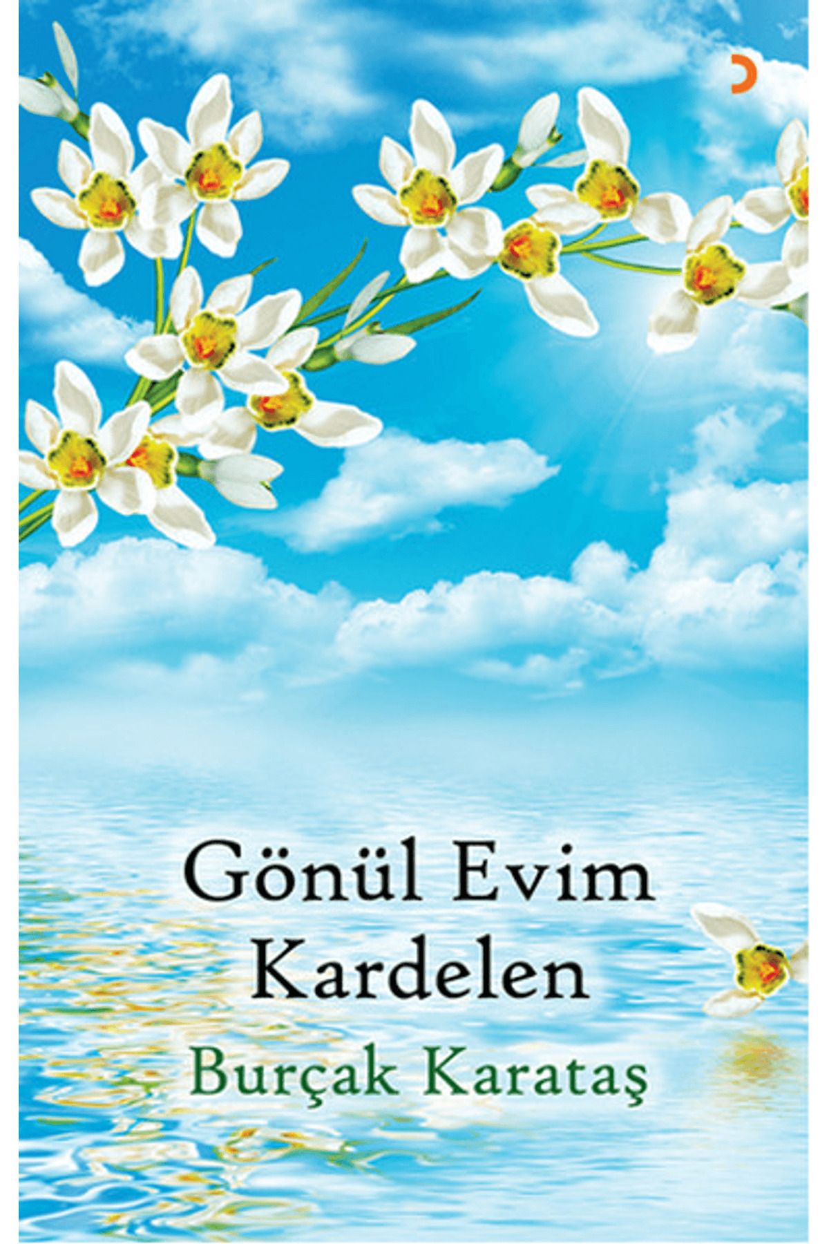 Cinius Yayınları Gönül Evim Kardelen