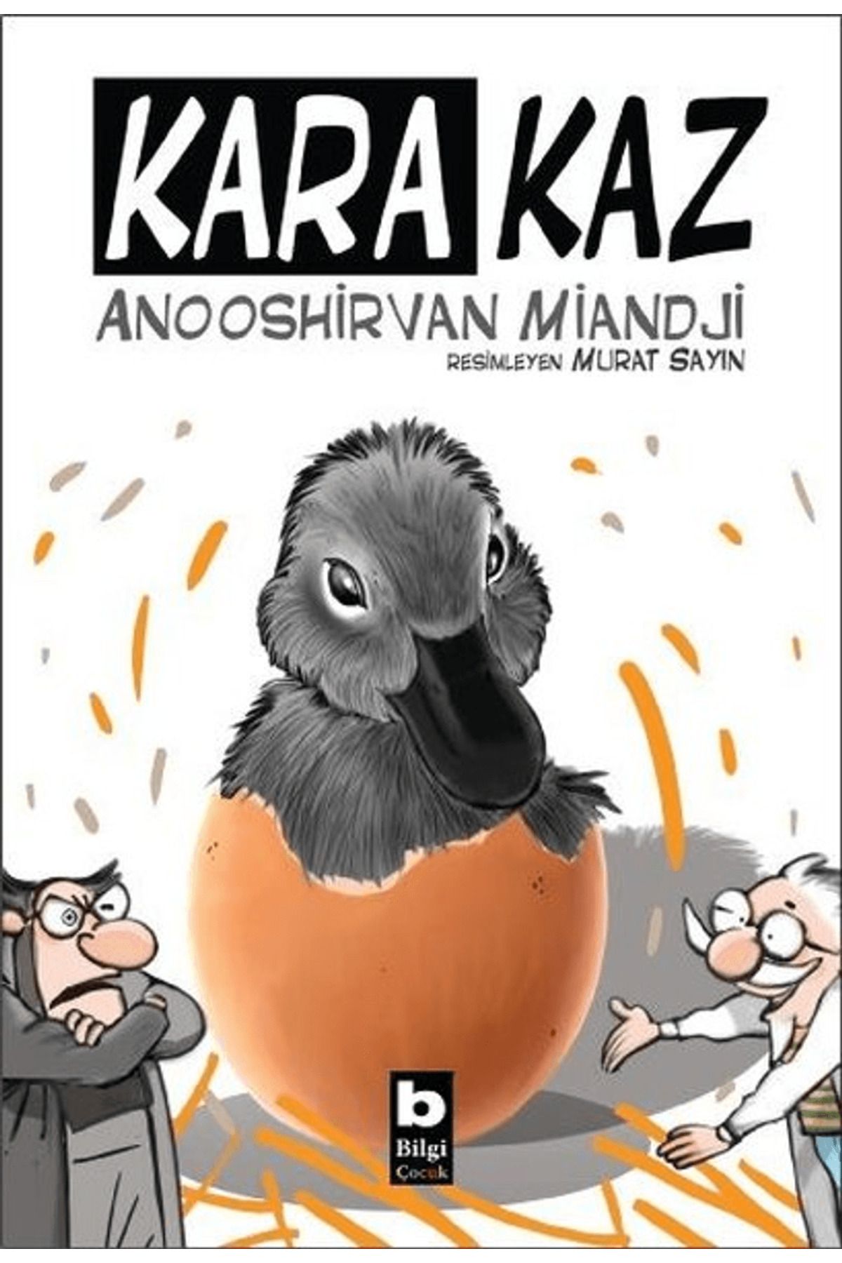 Bilgi Yayınevi Kara Kaz