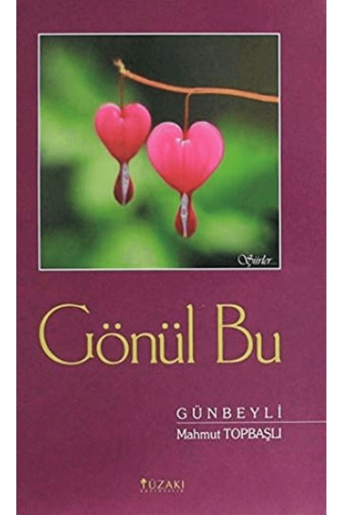 Yüzakı Yayıncılık Gönül Bu