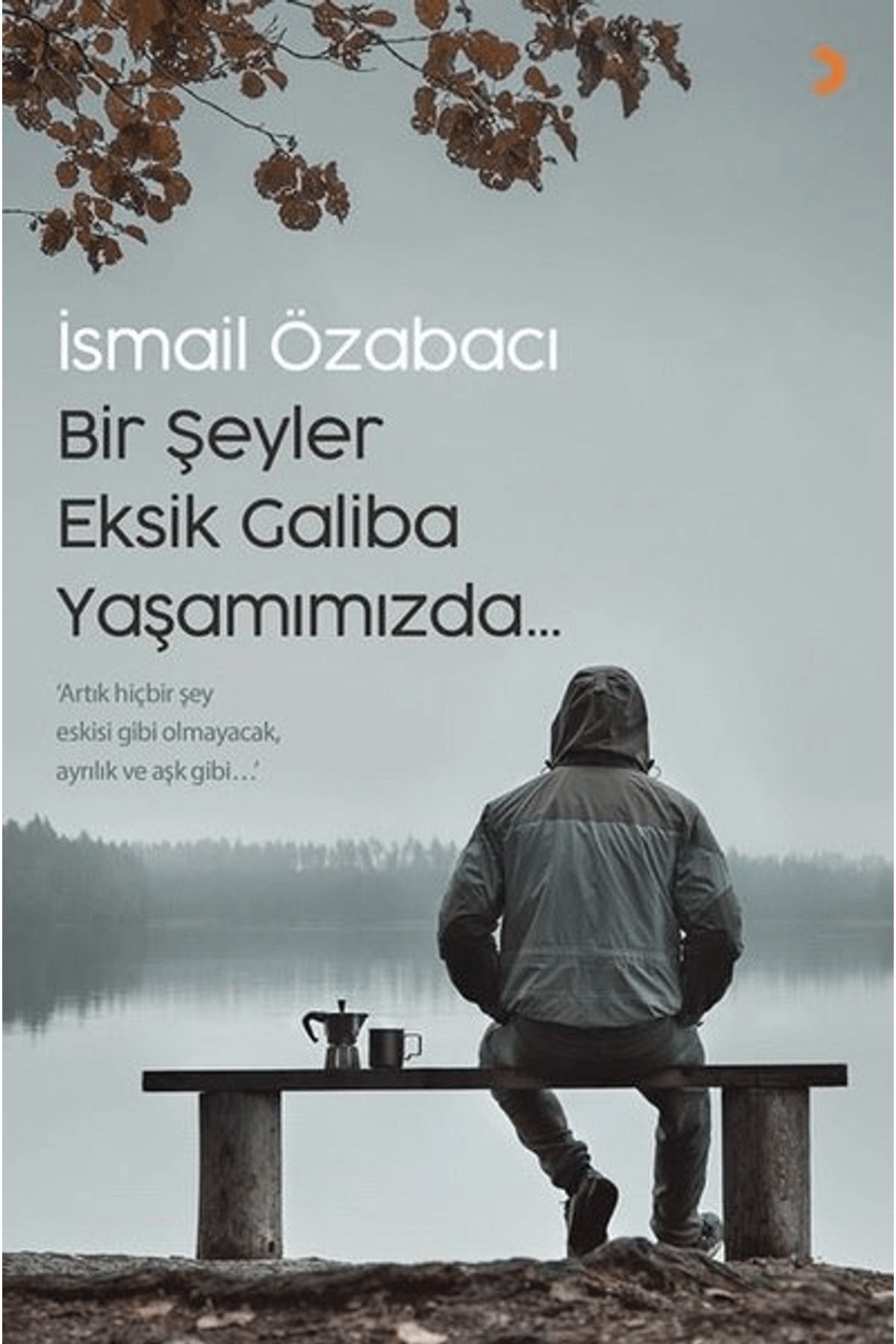 Cinius Yayınları Bir Şeyler Eksik Galiba Yaşamımızda