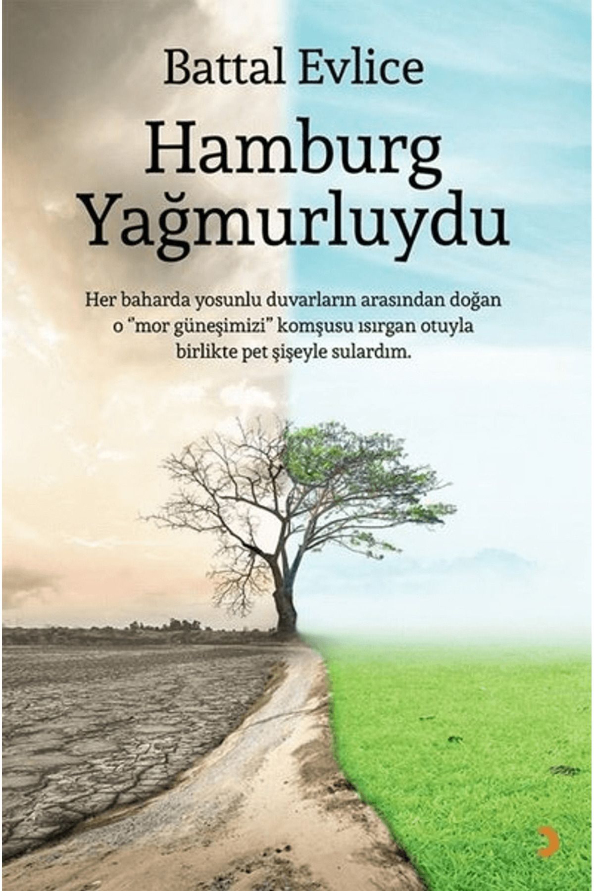 Cinius Yayınları Hamburg Yağmurluydu