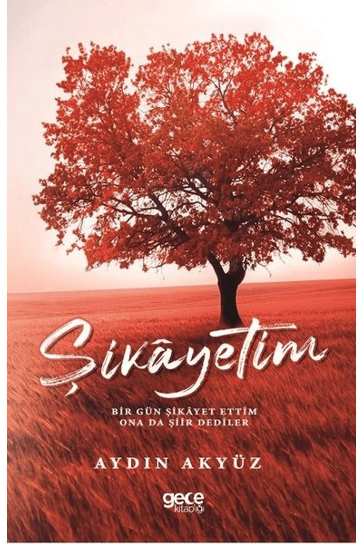 Gece Kitaplığı Şikayetim