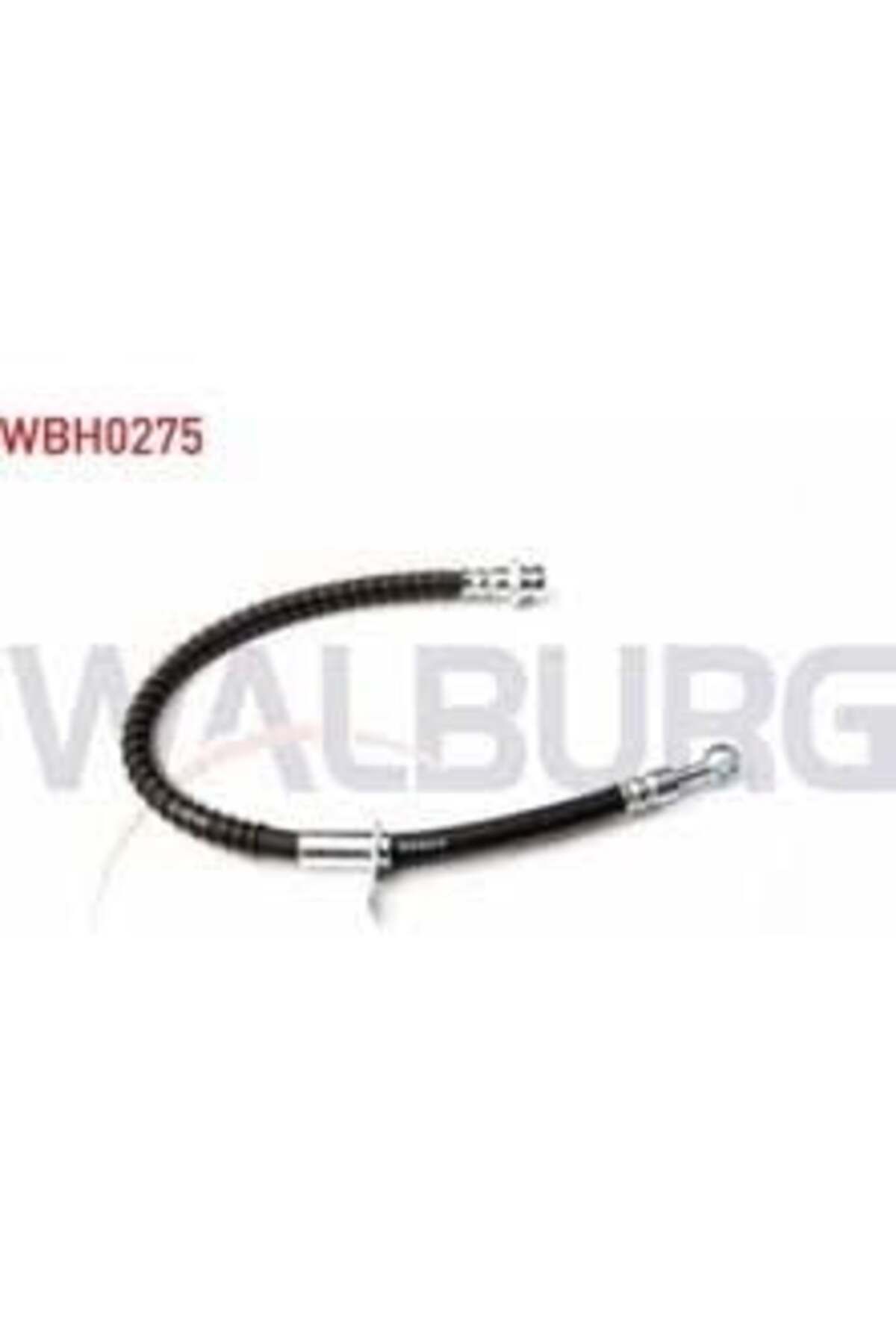 BRAXIS ON SAG FREN BORUSU R19 ( 140cm ) UYUMLU