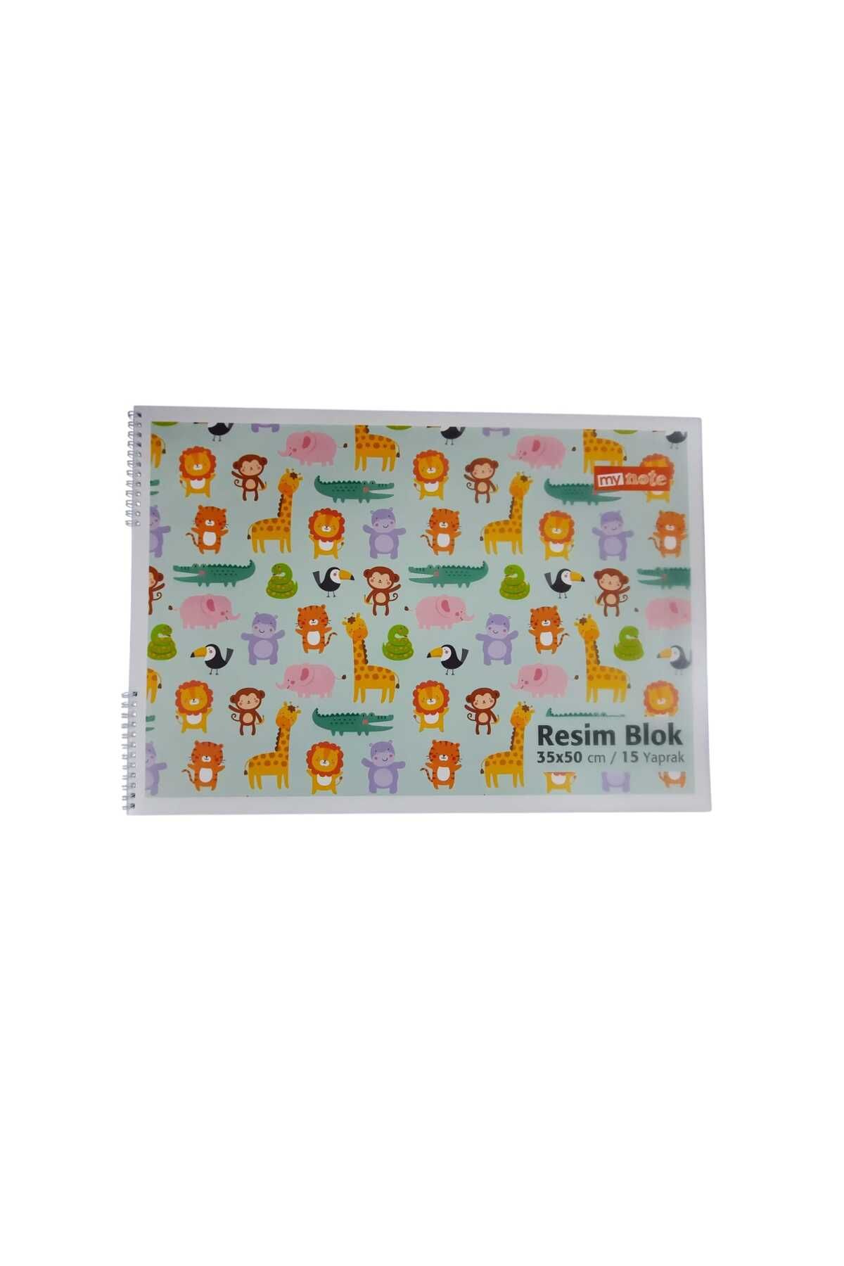 Mynote 35x50 SPİRALLİ KARTON KAPAK 15 YAPRAK RESİM DEFTERİ YEŞİL