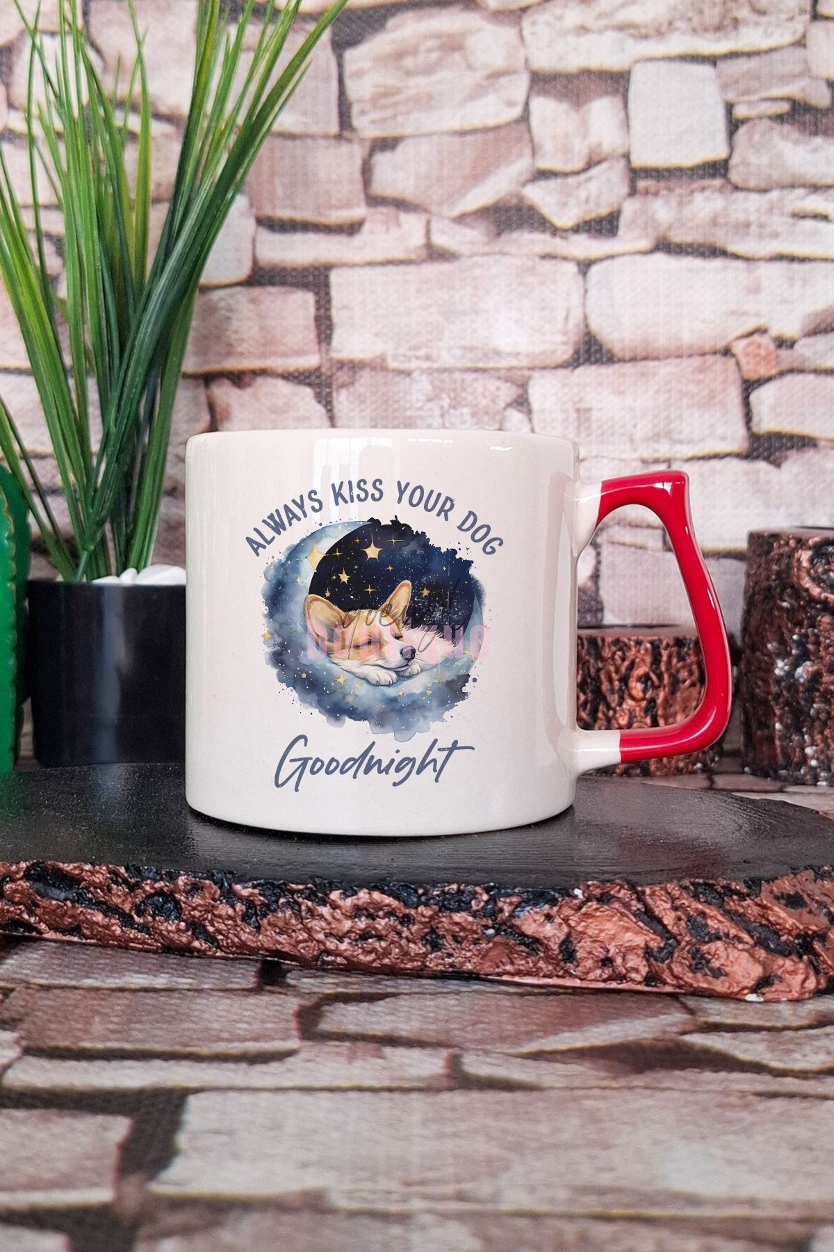 qoeuyl boutique Always Time For Dogs Baskılı Köpeksever Hediyelik Kulplu Kupa Bardak