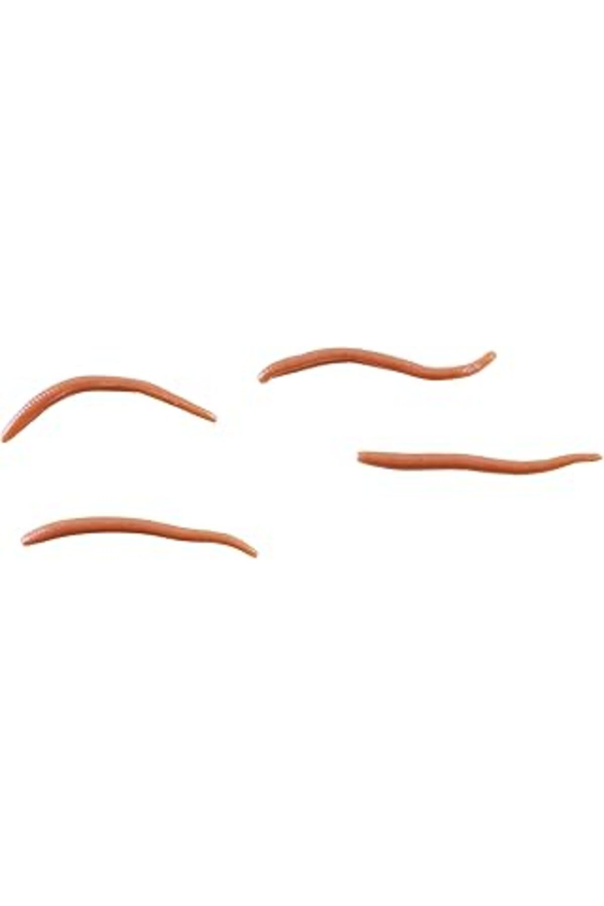 Mu Art Ahşap Berkley Gulp Alive Angle Worm Kurt