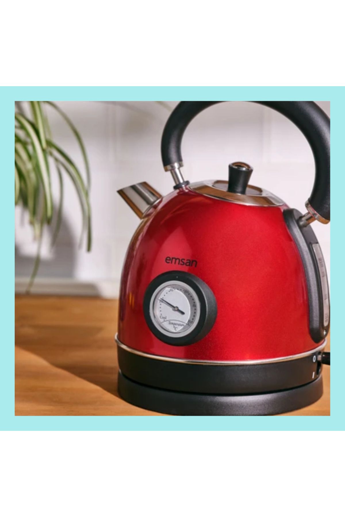 Emsan 2200 W Paslanmaz çelik gövde Turtle Kettle Red (Kırmızı)