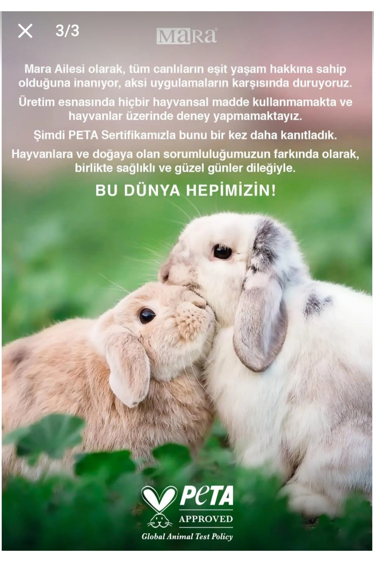 Biberiye Suyu & Lavanta Saç Bakım Seti 2'li — 191010101001 — تصویر 4 از 4