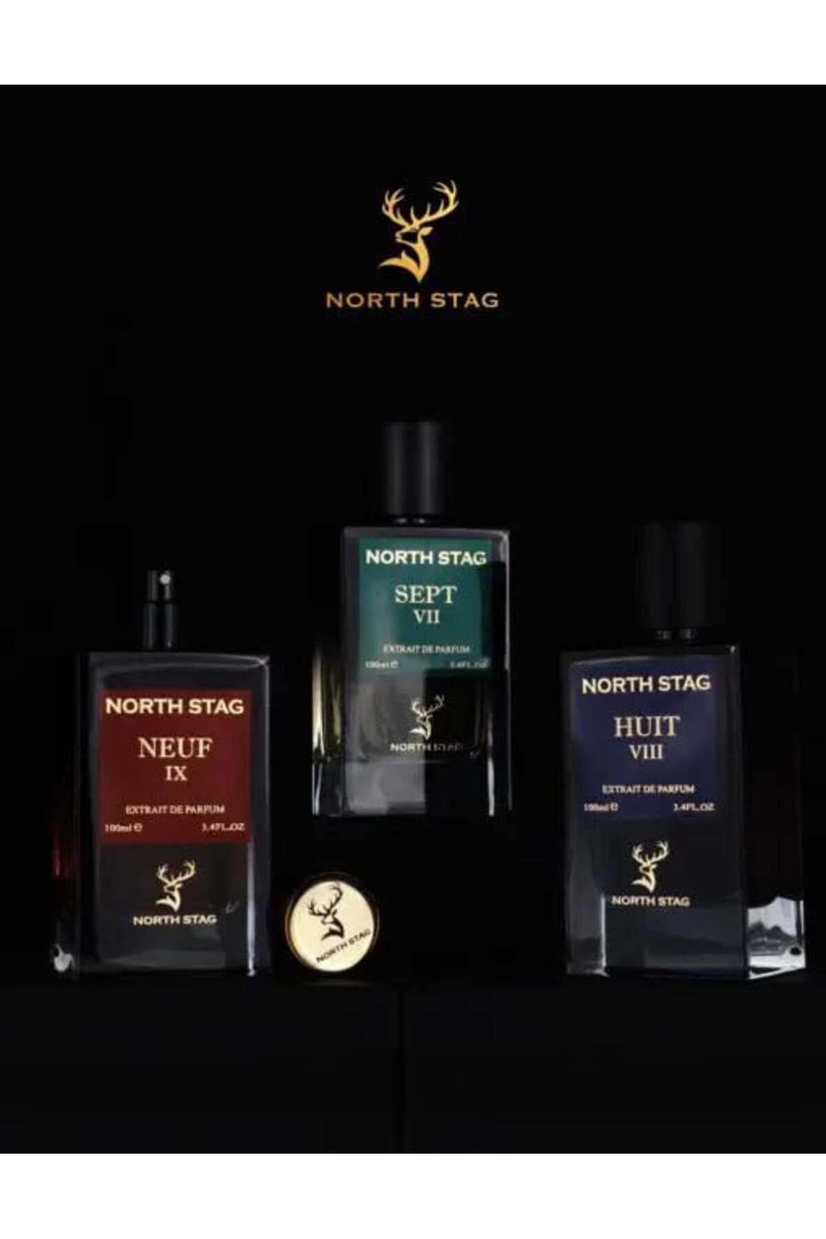 Paris Corner-North Stag HUIT VIII Paris Corner, Perfume Extract, Unisex, 100 ml, 100 ml 2