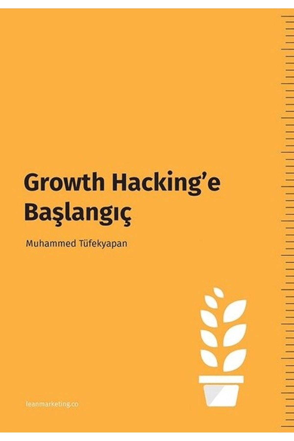 Cinius Yayınları Growth Hacking’e Başlangıç