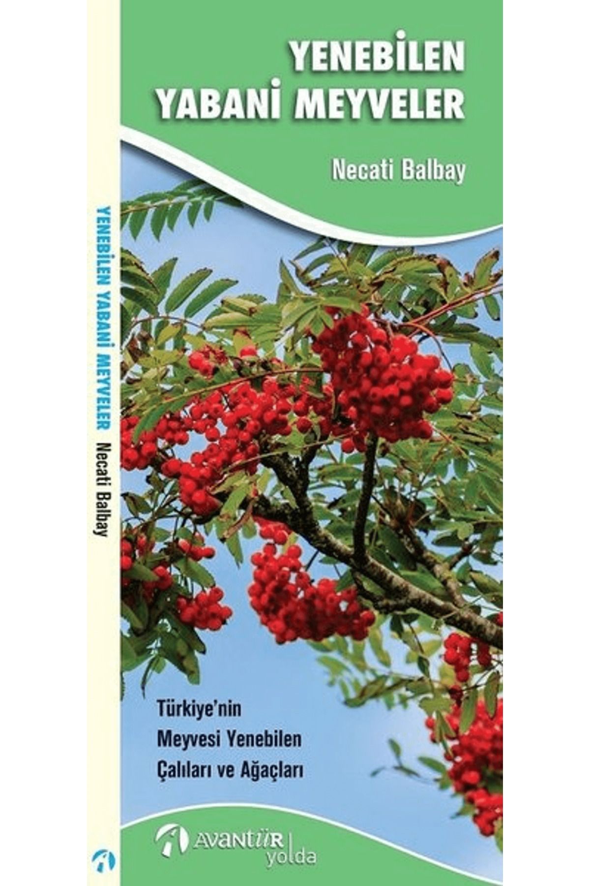 Avantür Kitap Yenebilen Yabani Meyveler