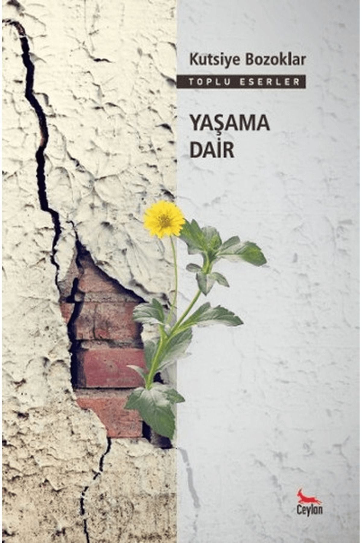 Ceylan Yayınları Yaşama Dair