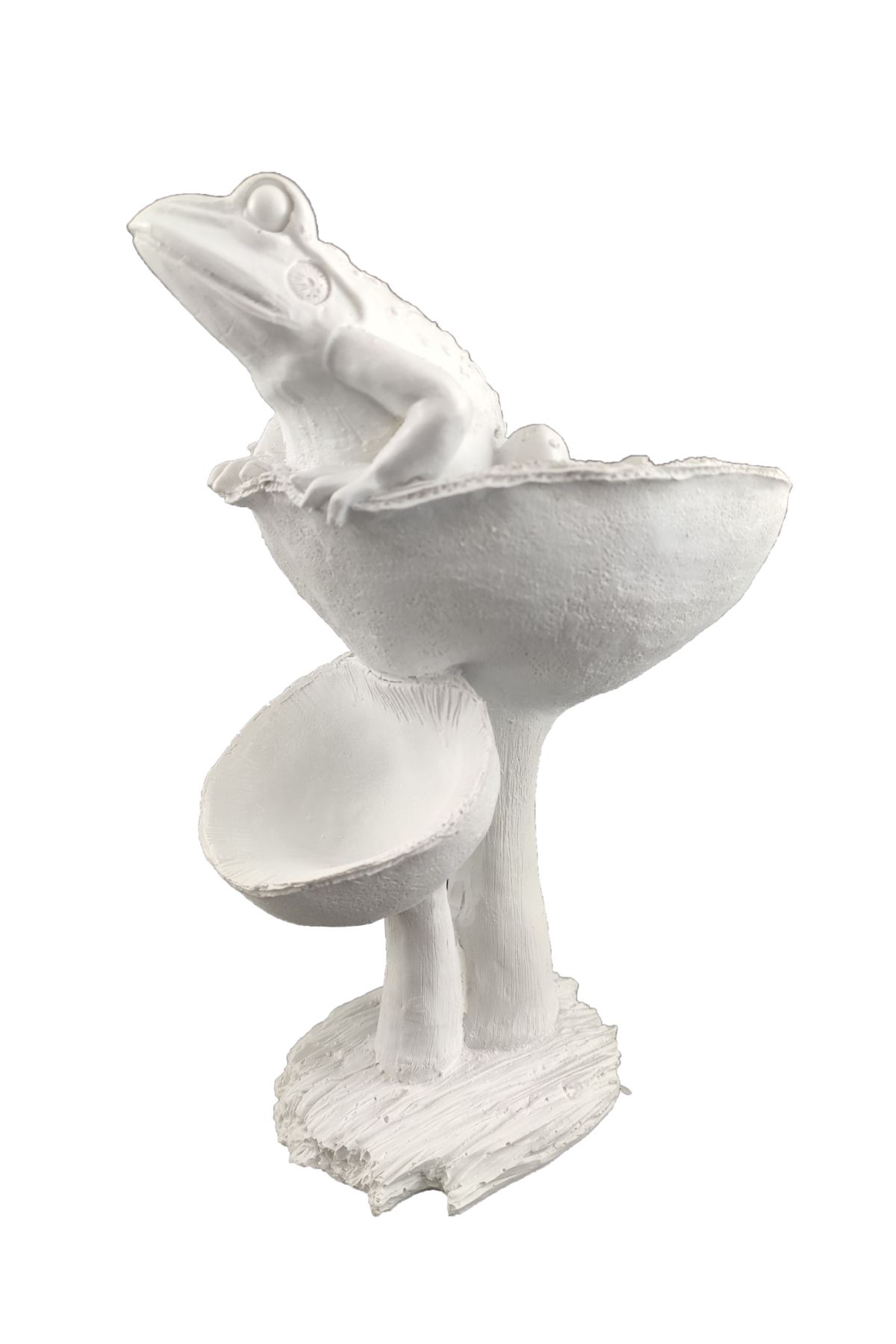 Sunseaart HYK293 - MANTARLI KURBAĞA