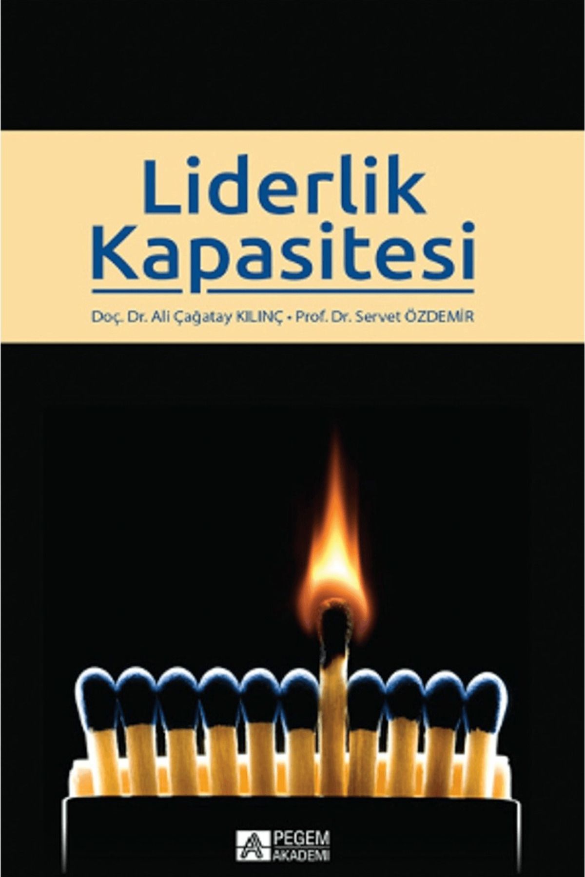 Pegem Akademi Yayıncılık Liderlik Kapasitesi