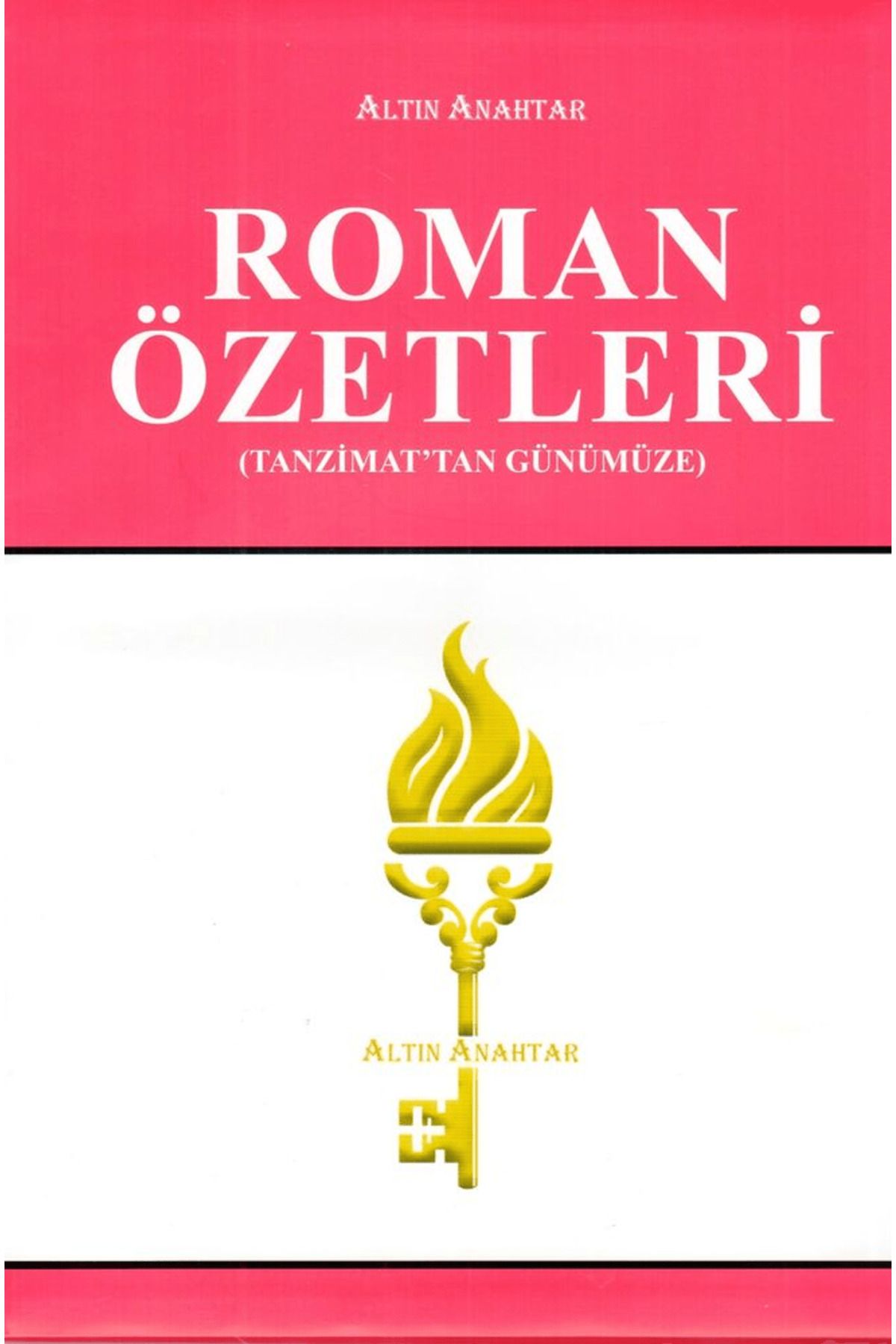 Altın Anahtar Yayınları Roman Özetleri
