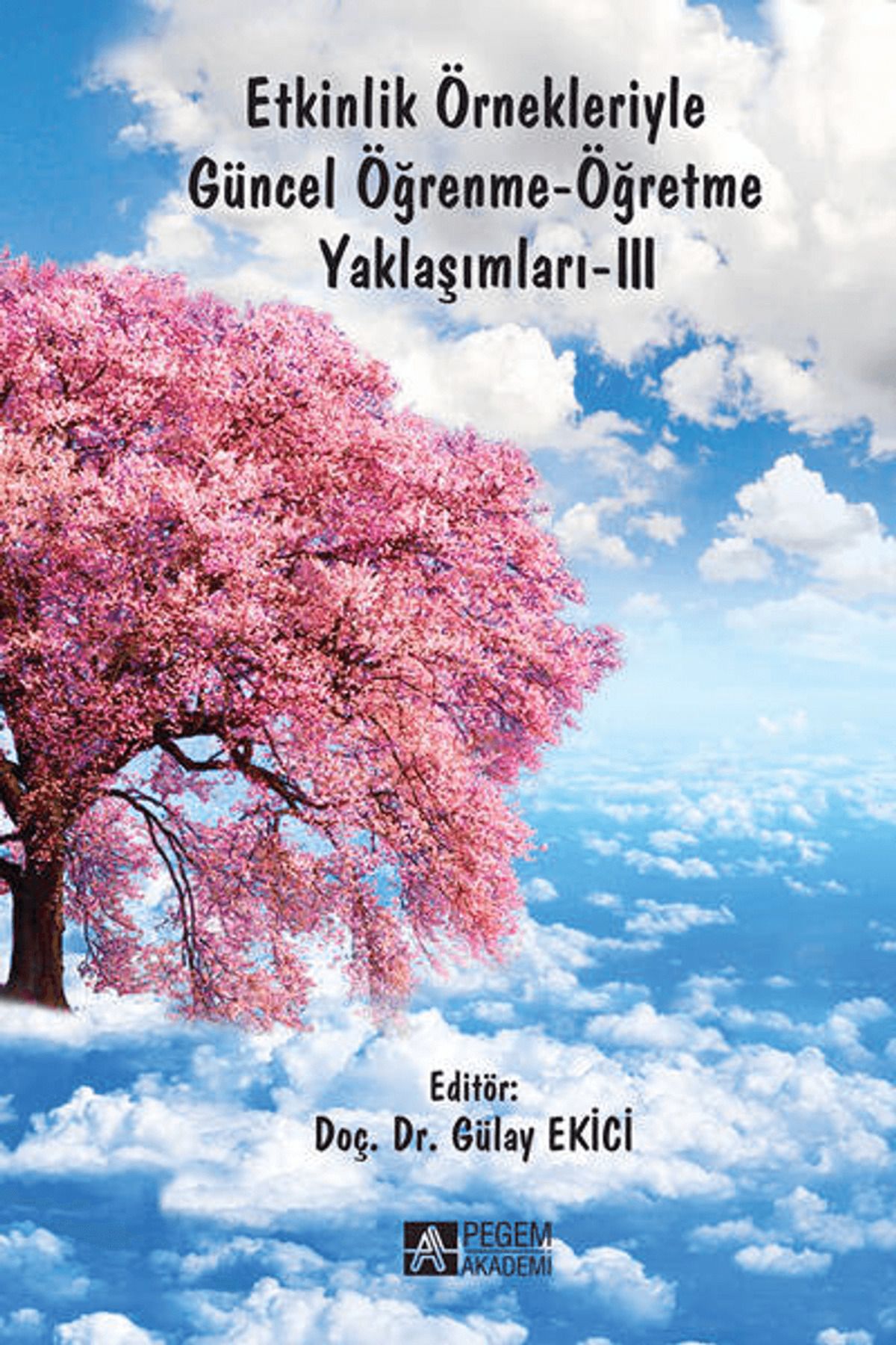 Pegem Akademi Yayıncılık Etkinlik Örnekleriyle Güncel Öğrenme - Öğretme Yaklaşımları 3