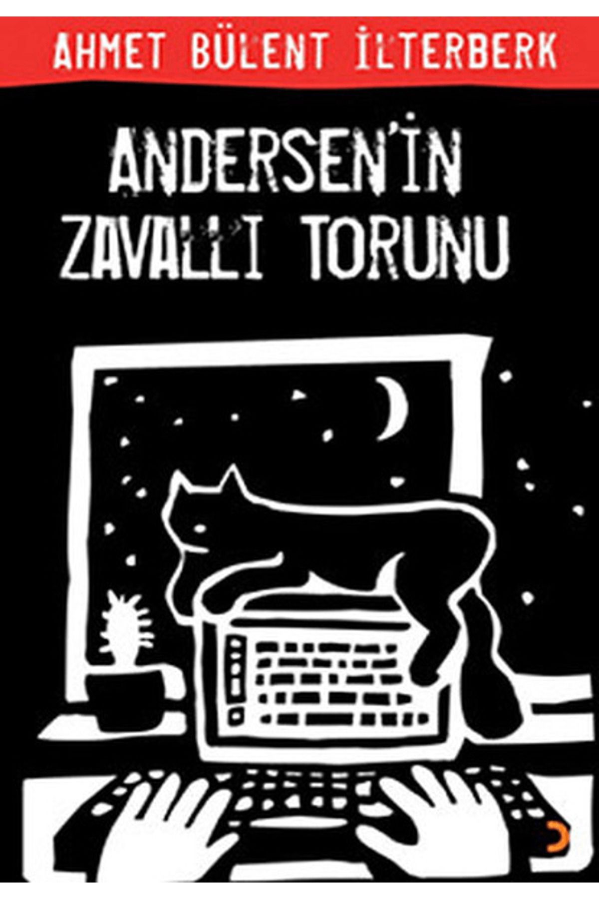 Cinius Yayınları Andersen’in Zavallı Torunu
