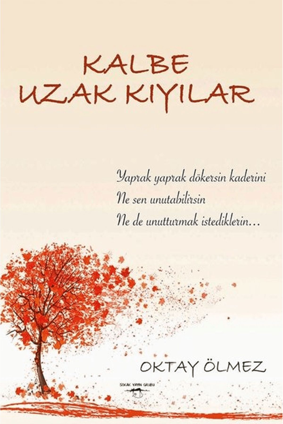 Sokak Kitapları Yayınları Kalbe Uzak Kıyılar