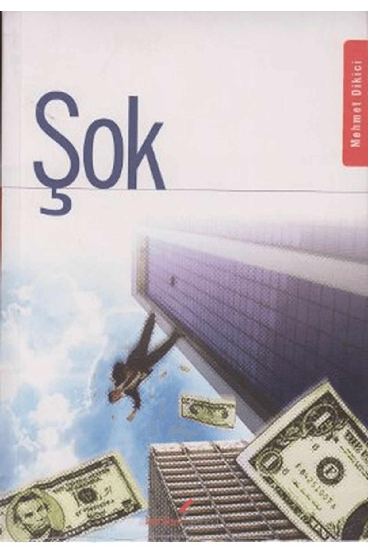 Berikan Yayınevi Şok Roman