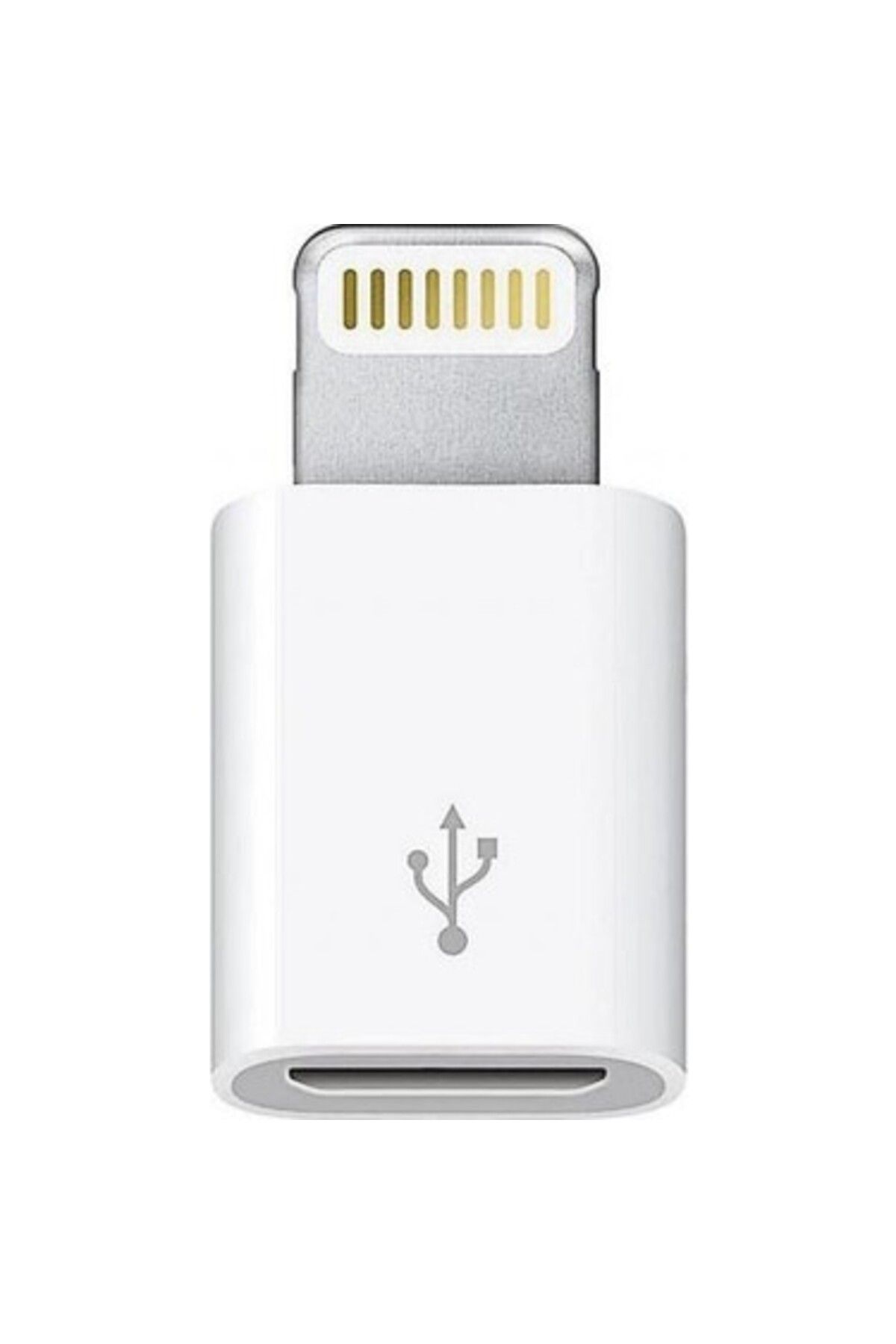 Uyguna Kapında Ally Ligtining Dönüştürücü Micro Usb Adaptor-(5775) - SVU5621-3433