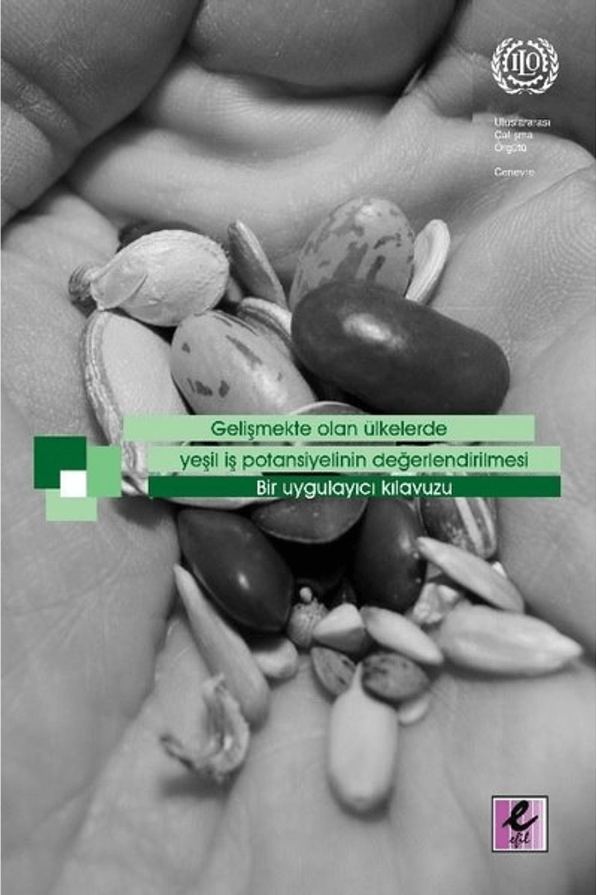 Efil Yayınevi Gelişmekte Olan Ülkelerde Yeşil İş Potansiyelinin Değerlendirilmesi - Bir Uygulayıcı Kılavuzu