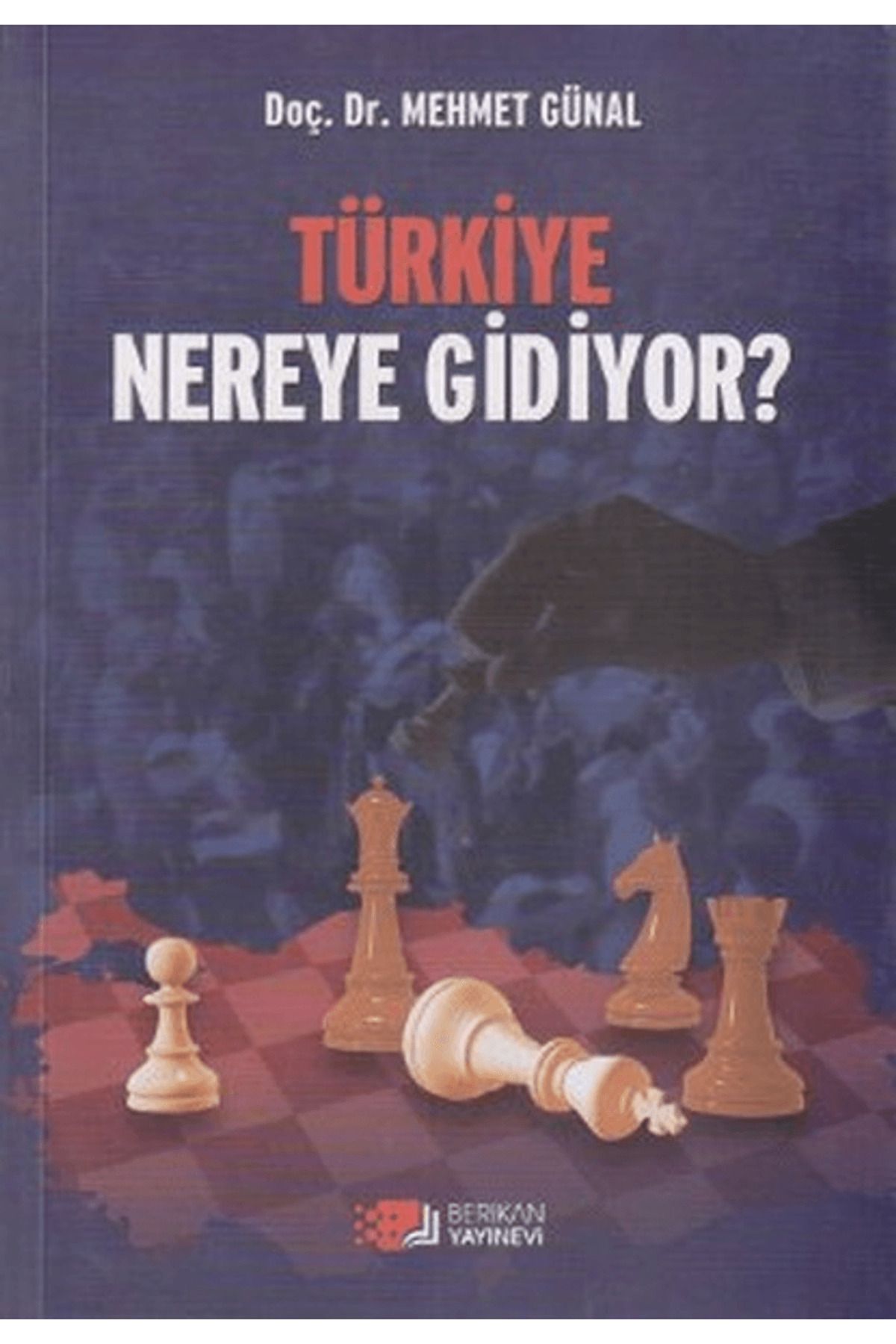 Berikan Yayınevi Türkiye Nereye Gidiyor?