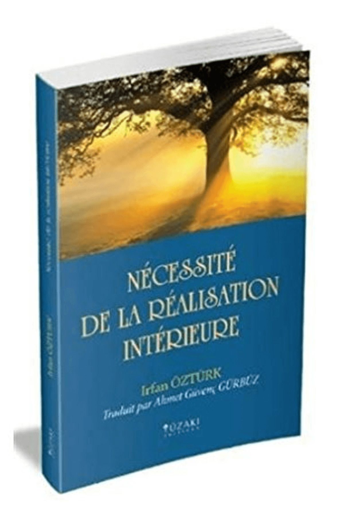 Yüzakı Yayıncılık Necessite De La Realisation Interieure