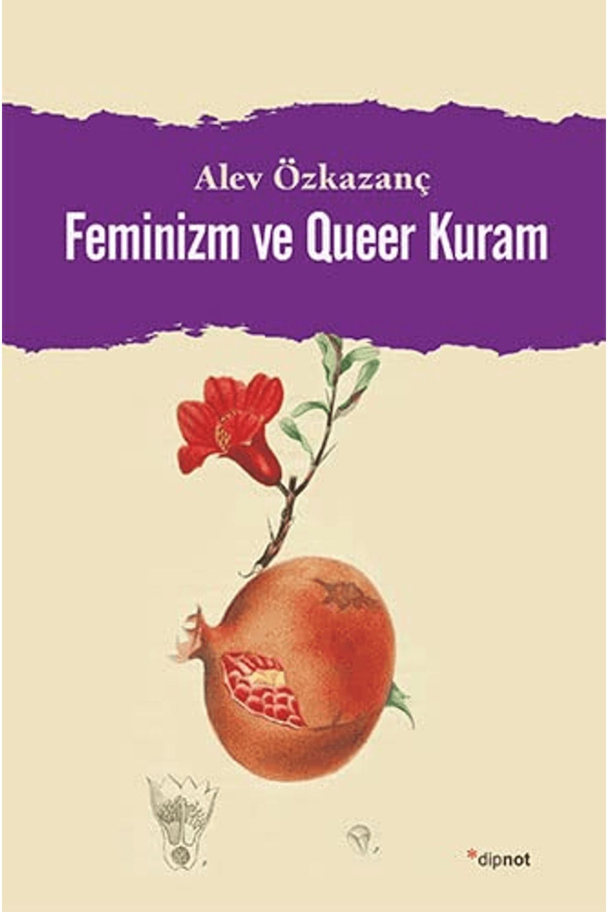 Dipnot Yayınları Feminizm ve Queer Kuram
