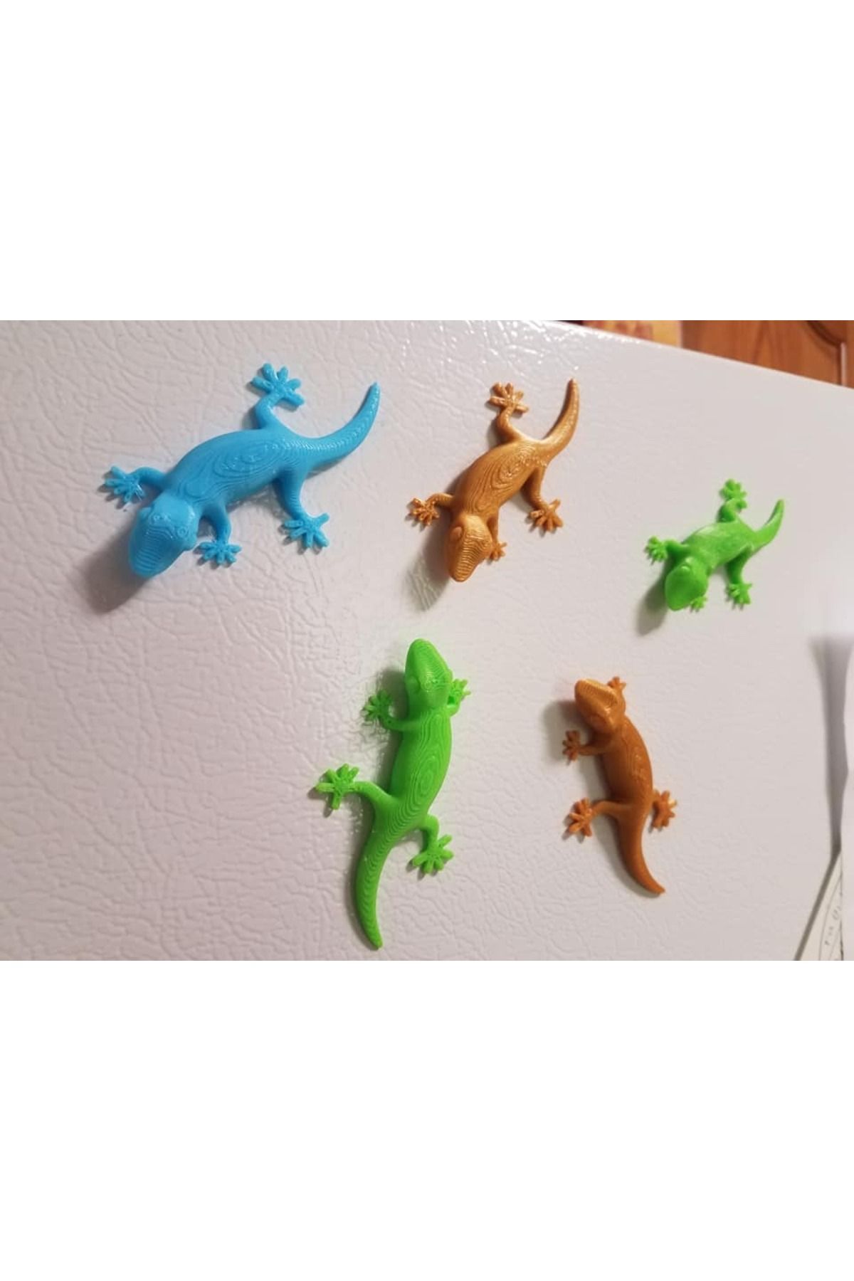 talaşoğlu Gecko mıknatıs (2 Adet)