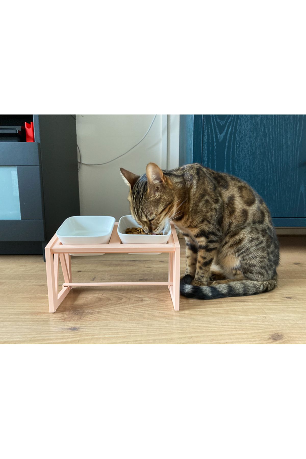 talaşoğlu Yüksek kedi besleme istasyonu için durun
