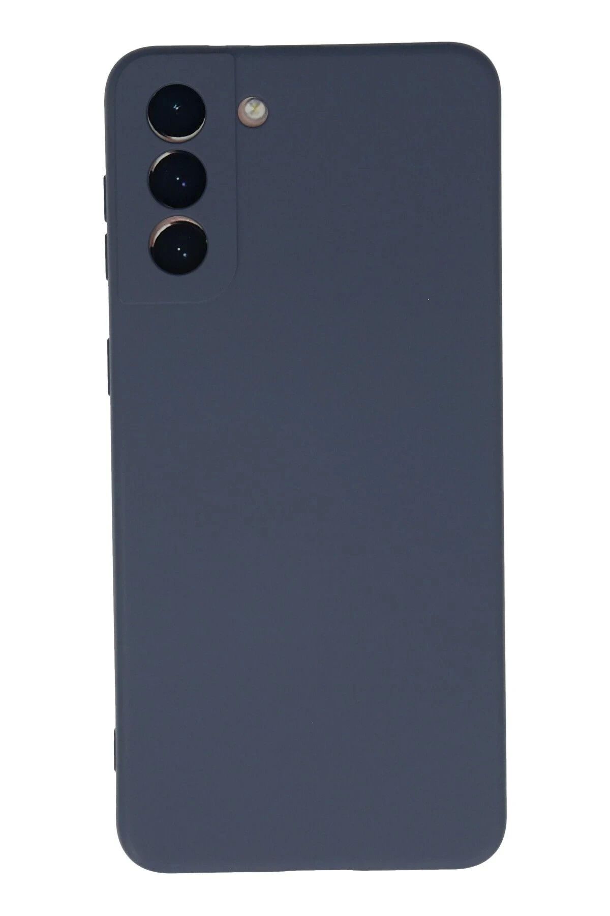 Vita Premio BFS Samsung Galaxy S21 Plus Kılıf Nano içi Kadife Silikon - Gri