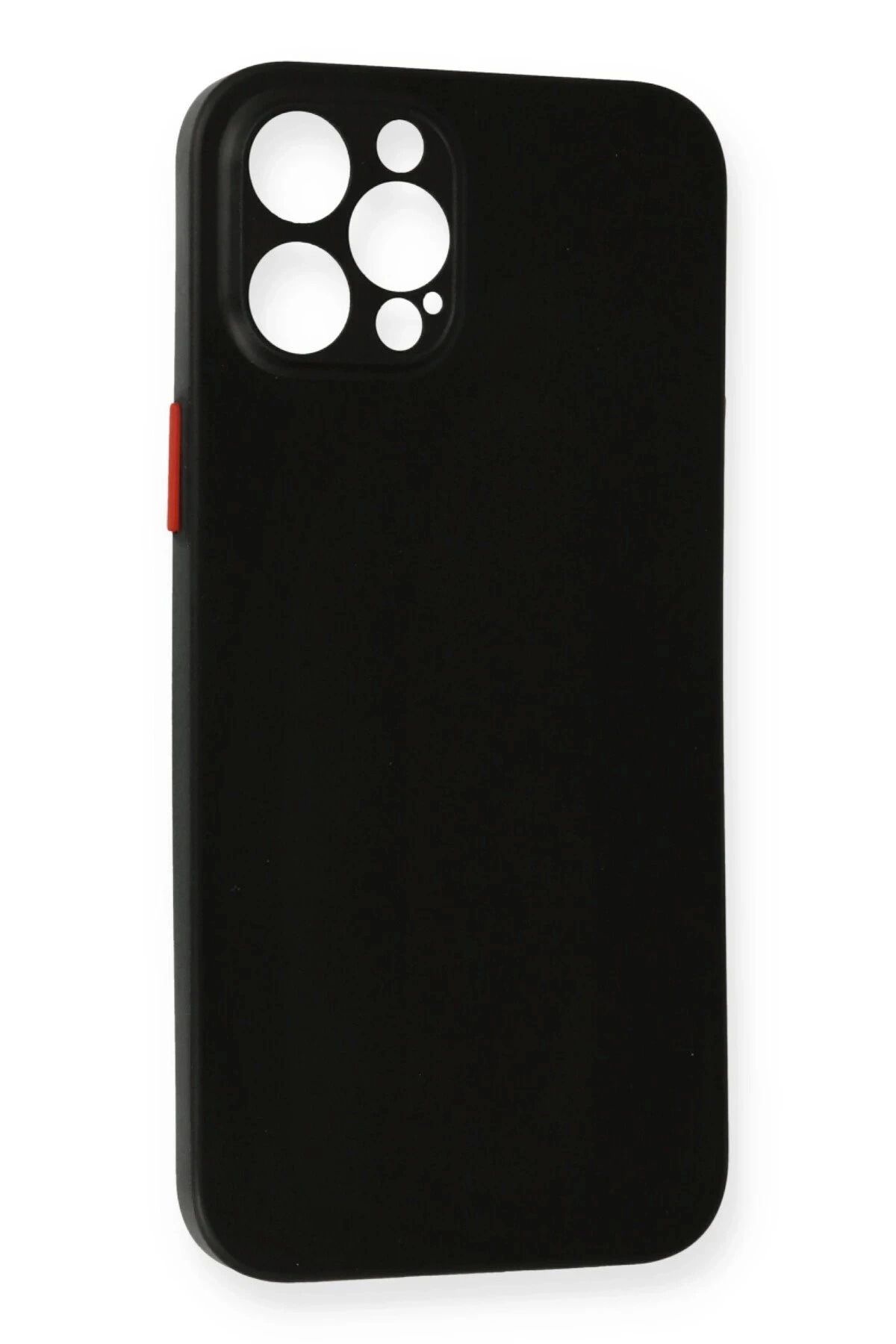 Vita Premio BFS iPhone 12 Pro Max Kılıf PP Ultra İnce Kapak - Siyah