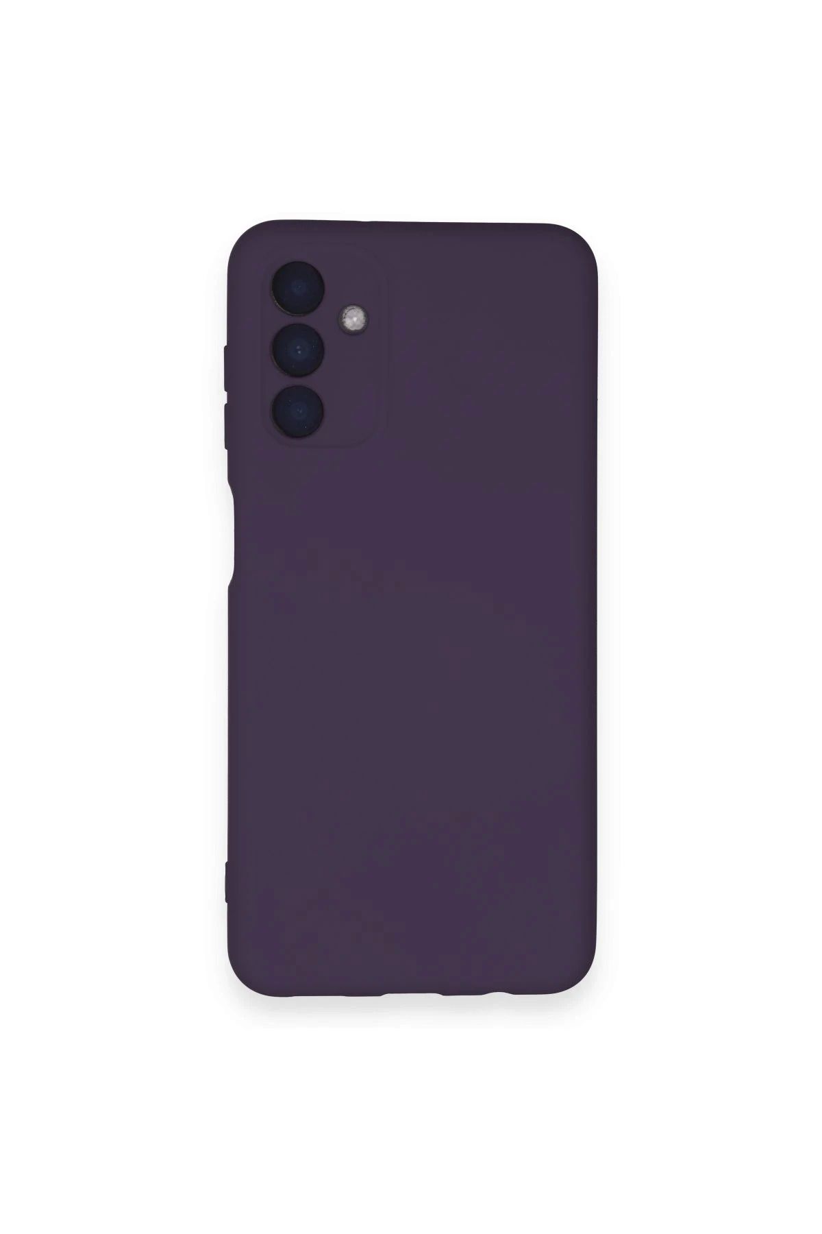 Vita Premio BFS Samsung Galaxy A14 4G Kılıf Nano içi Kadife Silikon - Mor