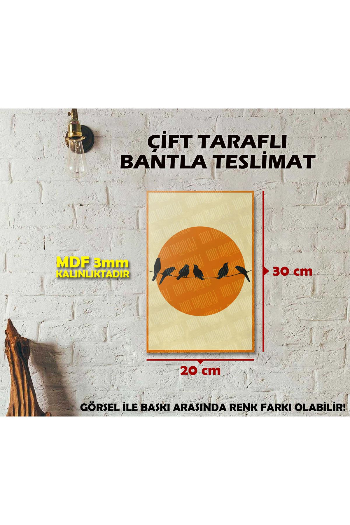 Borambalaj Renk Temalı İllustrasyon Tablo 20x30cm