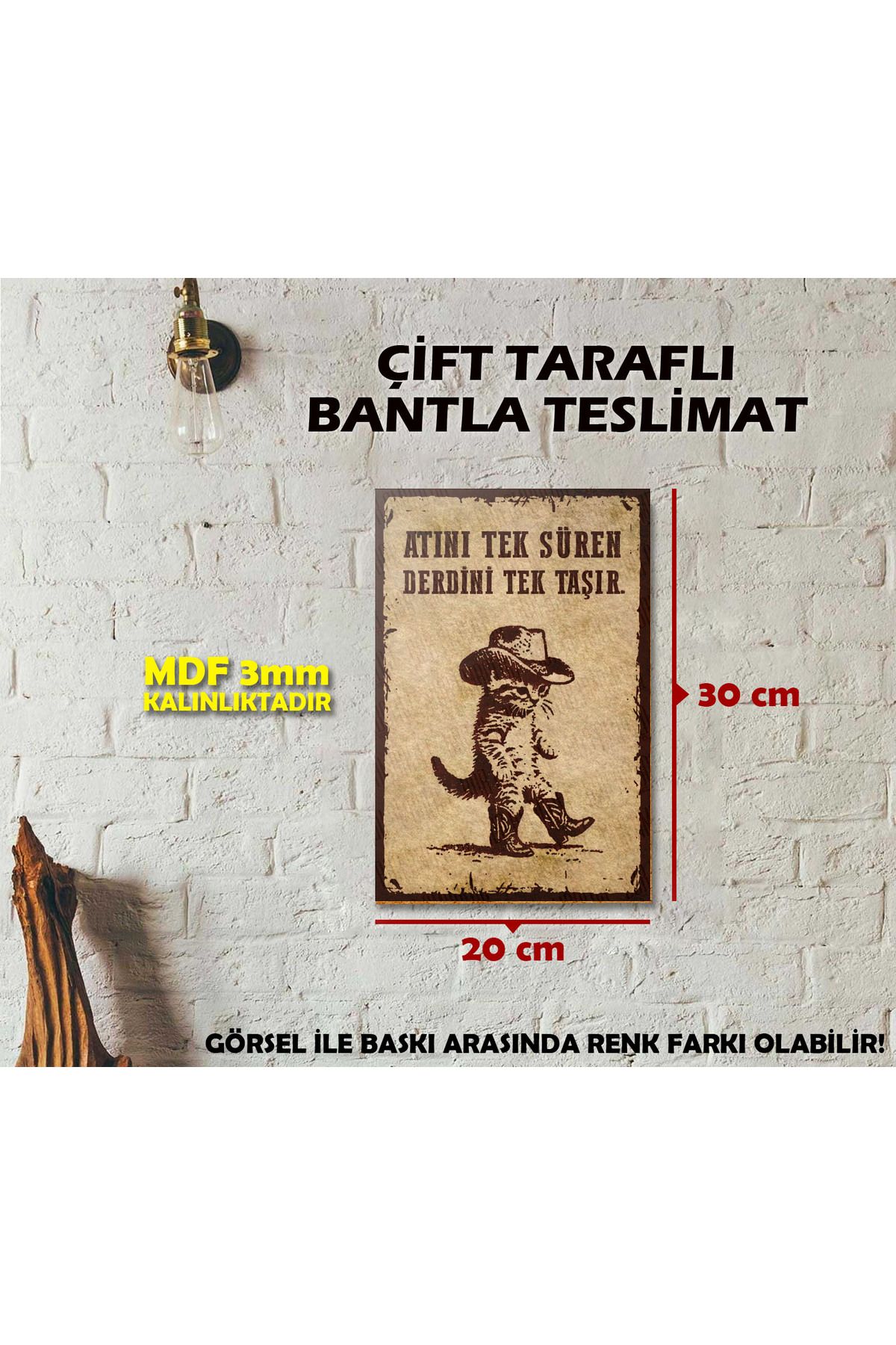 Borambalaj Anlamlı Kovboy Kedi Posteri (20x30cm)