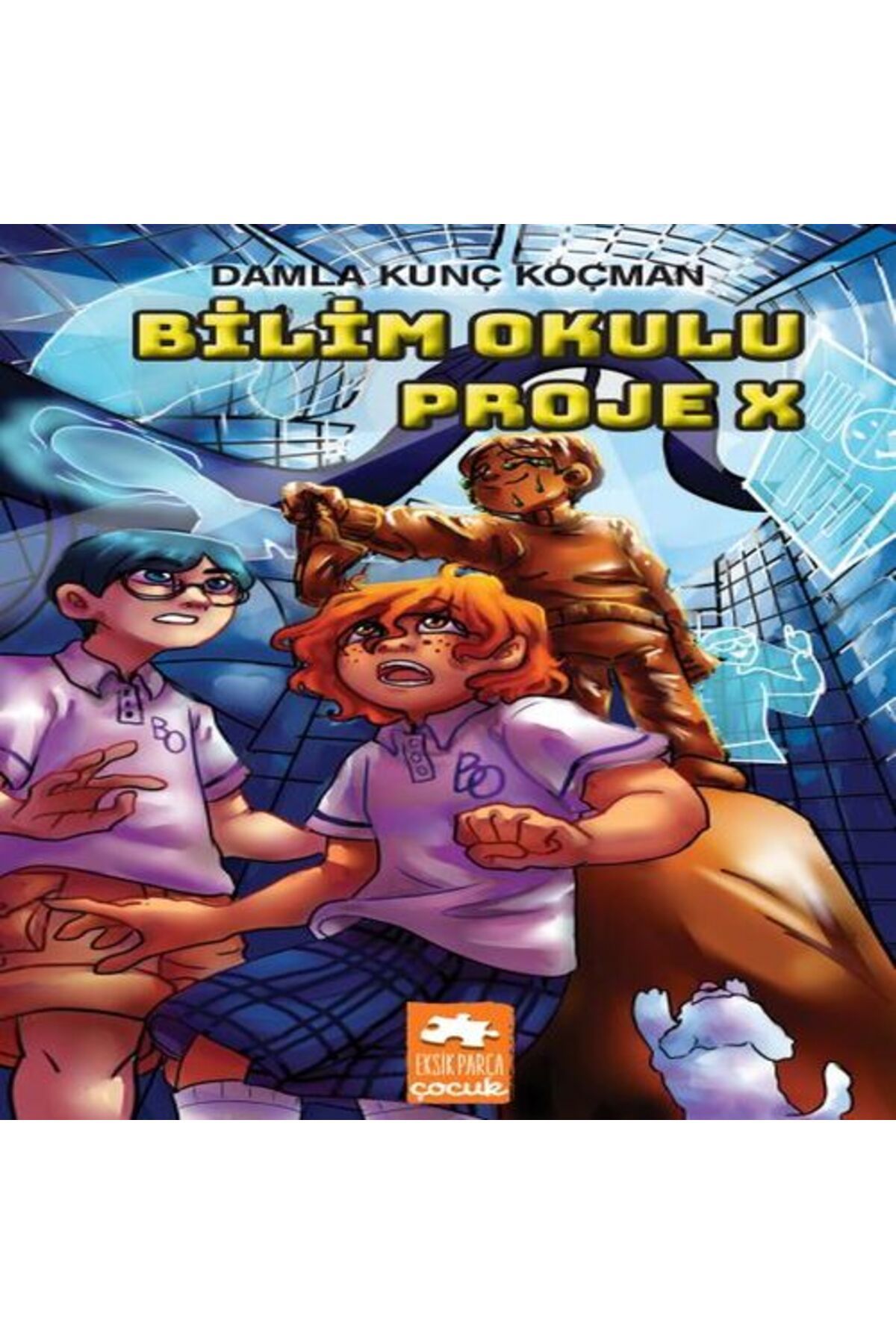 Destek Yayınları Bilim Okulu Proje X